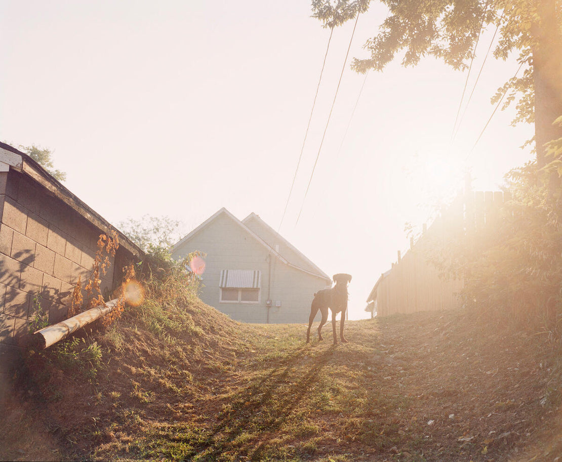 Gregory Halpern Fine Prints