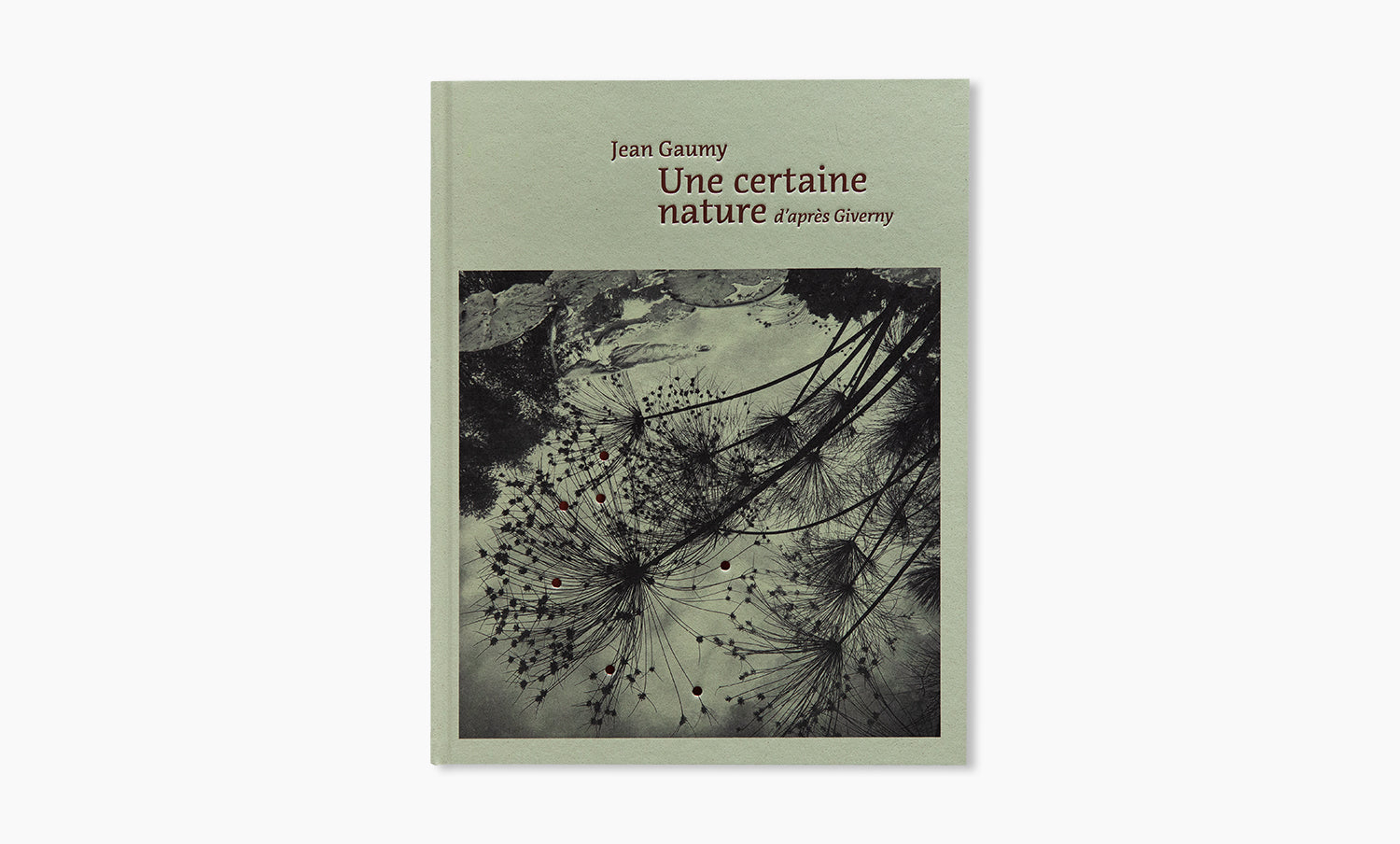 A Certain Nature, after Giverny