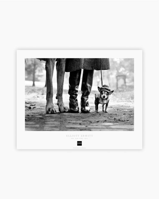 Posters