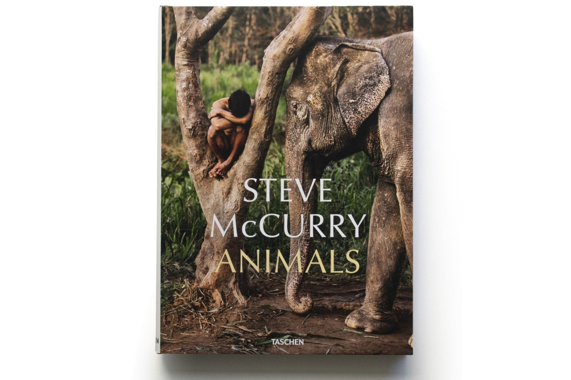 Steve McCurry: Animals