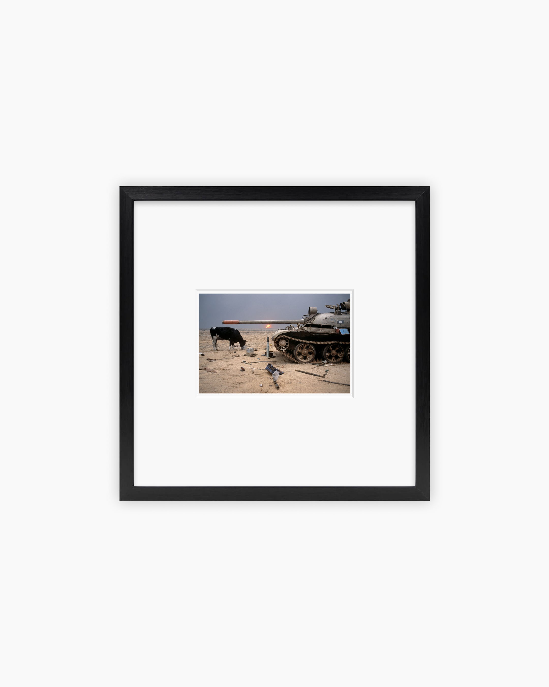 Magnum Square Print: Abbas