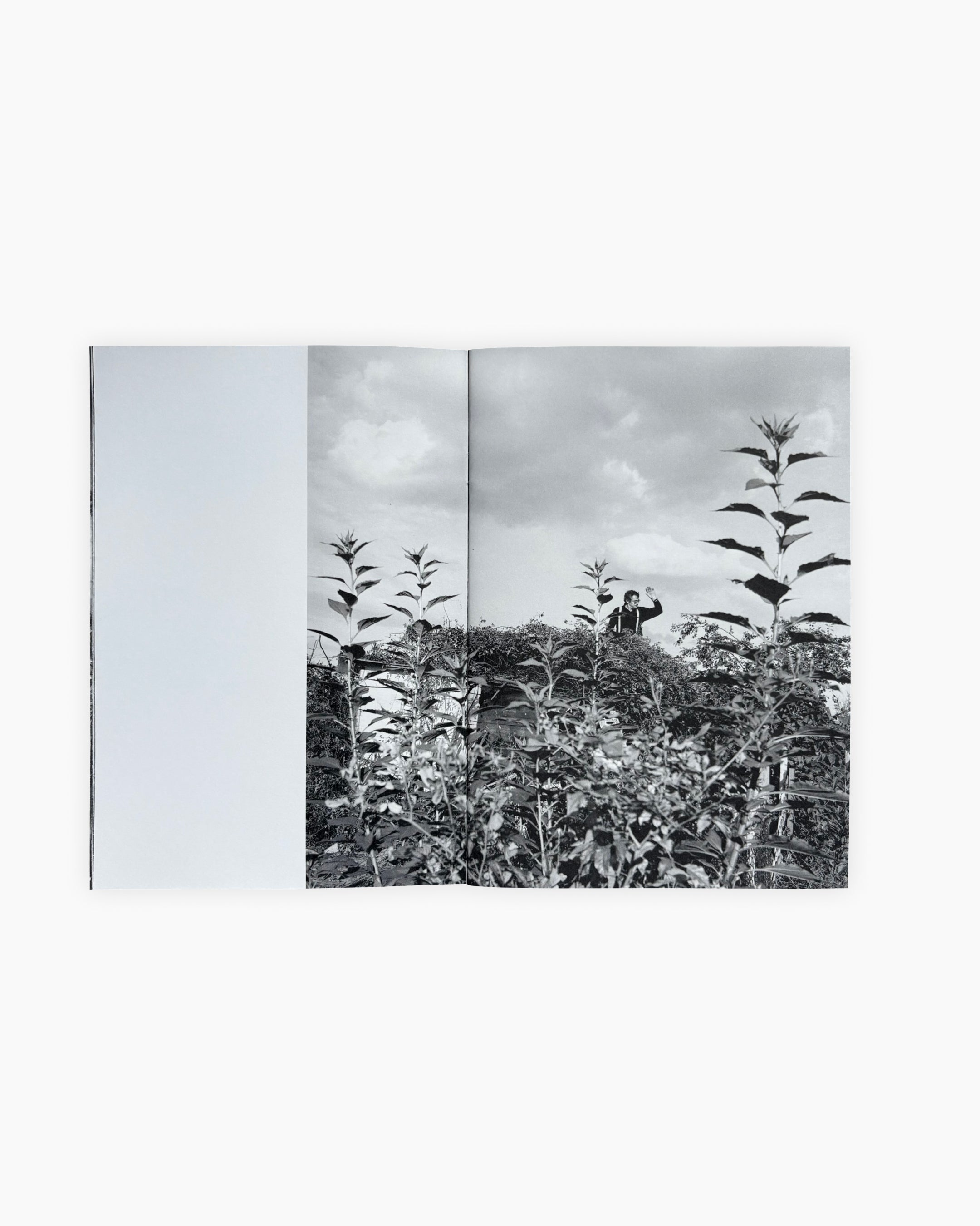 Allotments