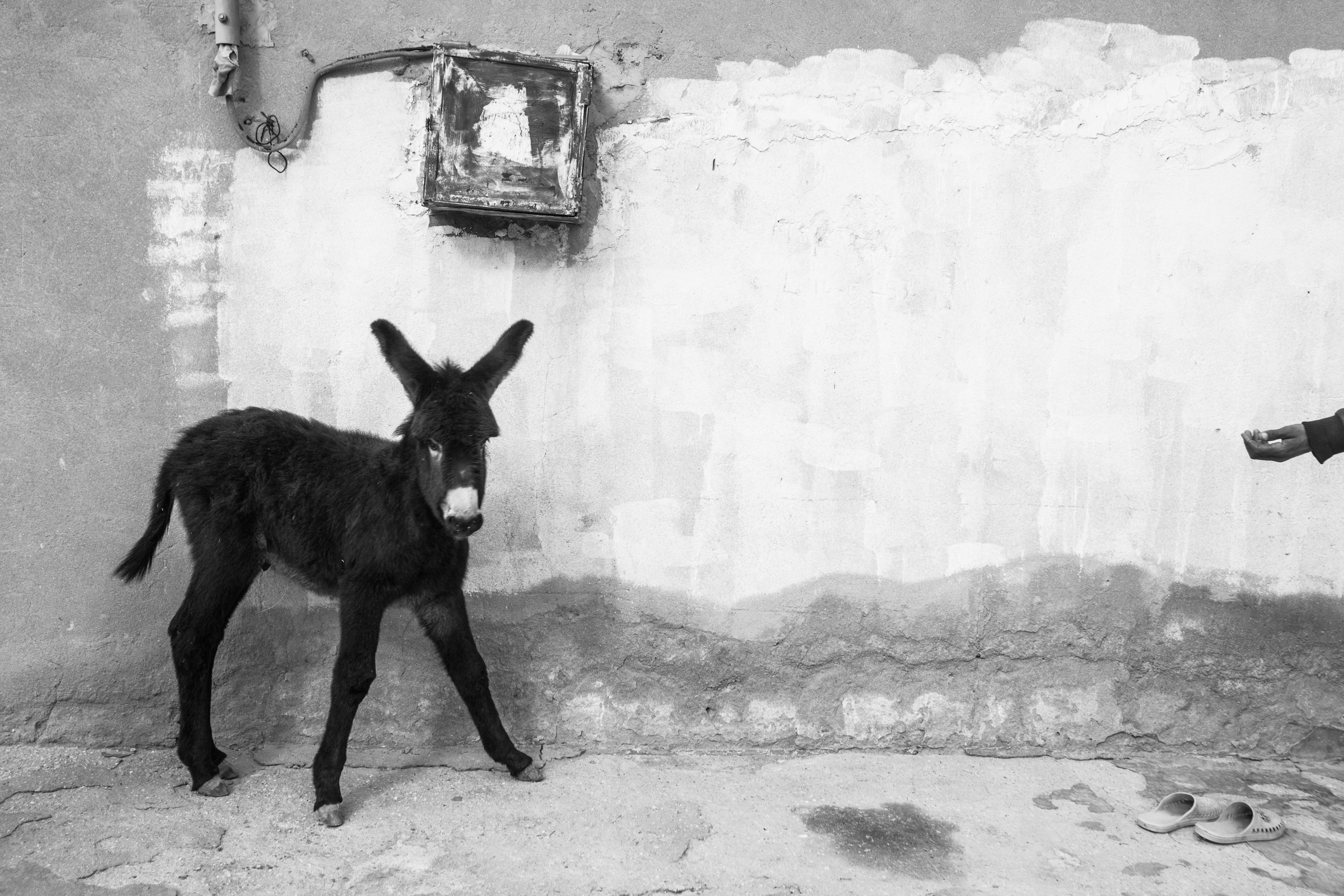 Fine Print: Sagdoud, Gafsa, Tunisia, 2015