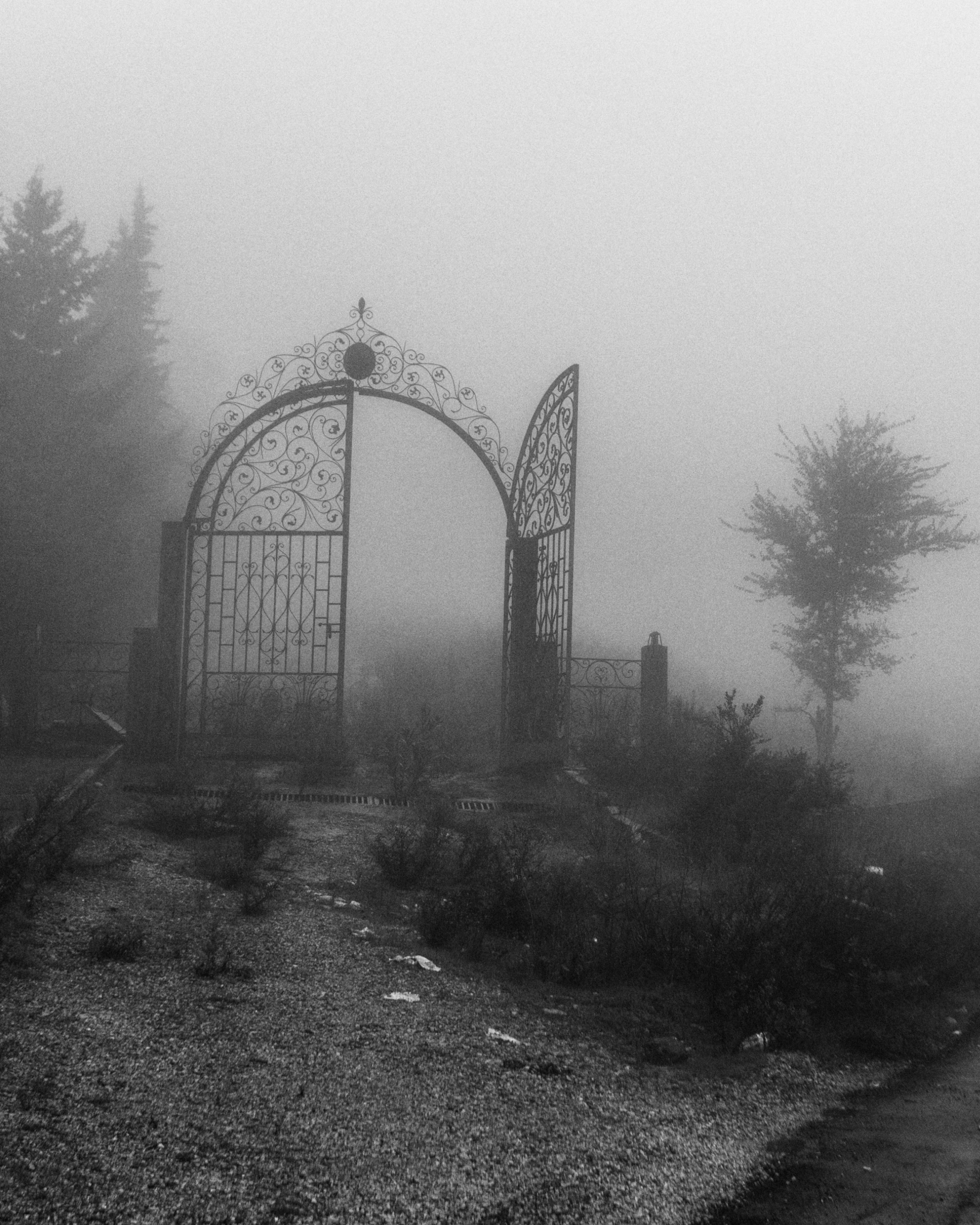 Magnum Square Print: Zied Ben Romdhane