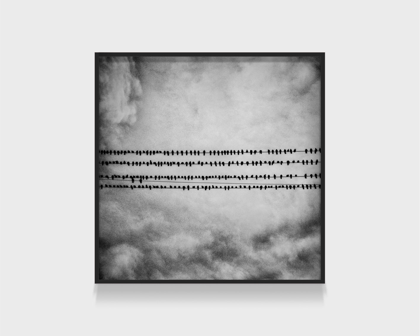 Matt Black: American Geography