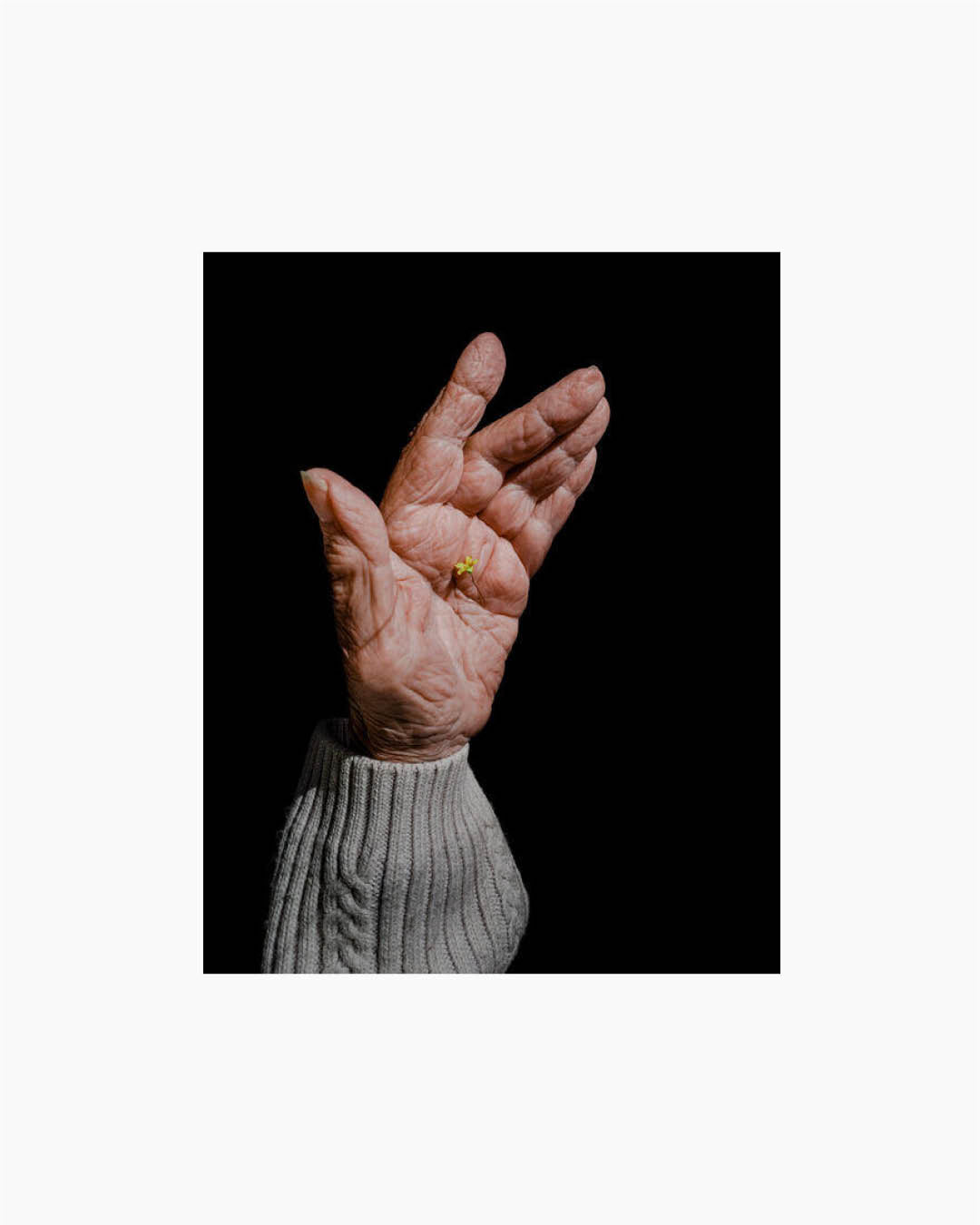 Fine Print: Dahr El Sowan, Lebanon, 21 February 2021