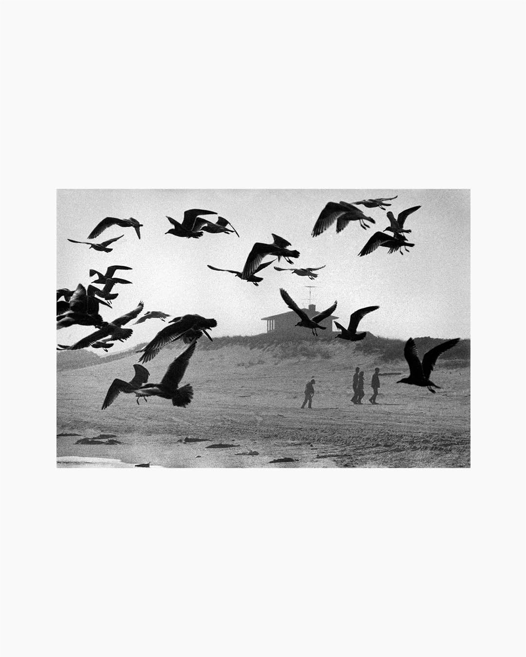 Fine Print: Amagansett, Long Island, New York, USA, 1966