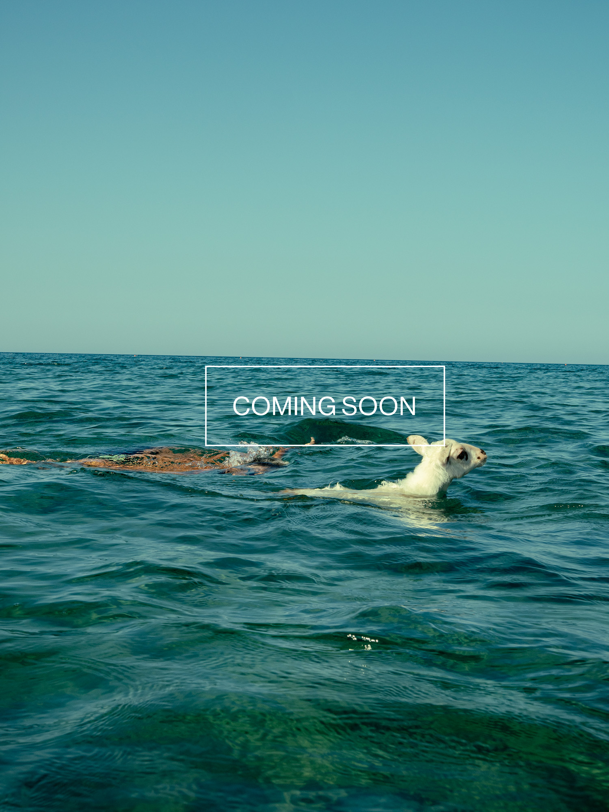 Magnum Square Print: Enri Canaj