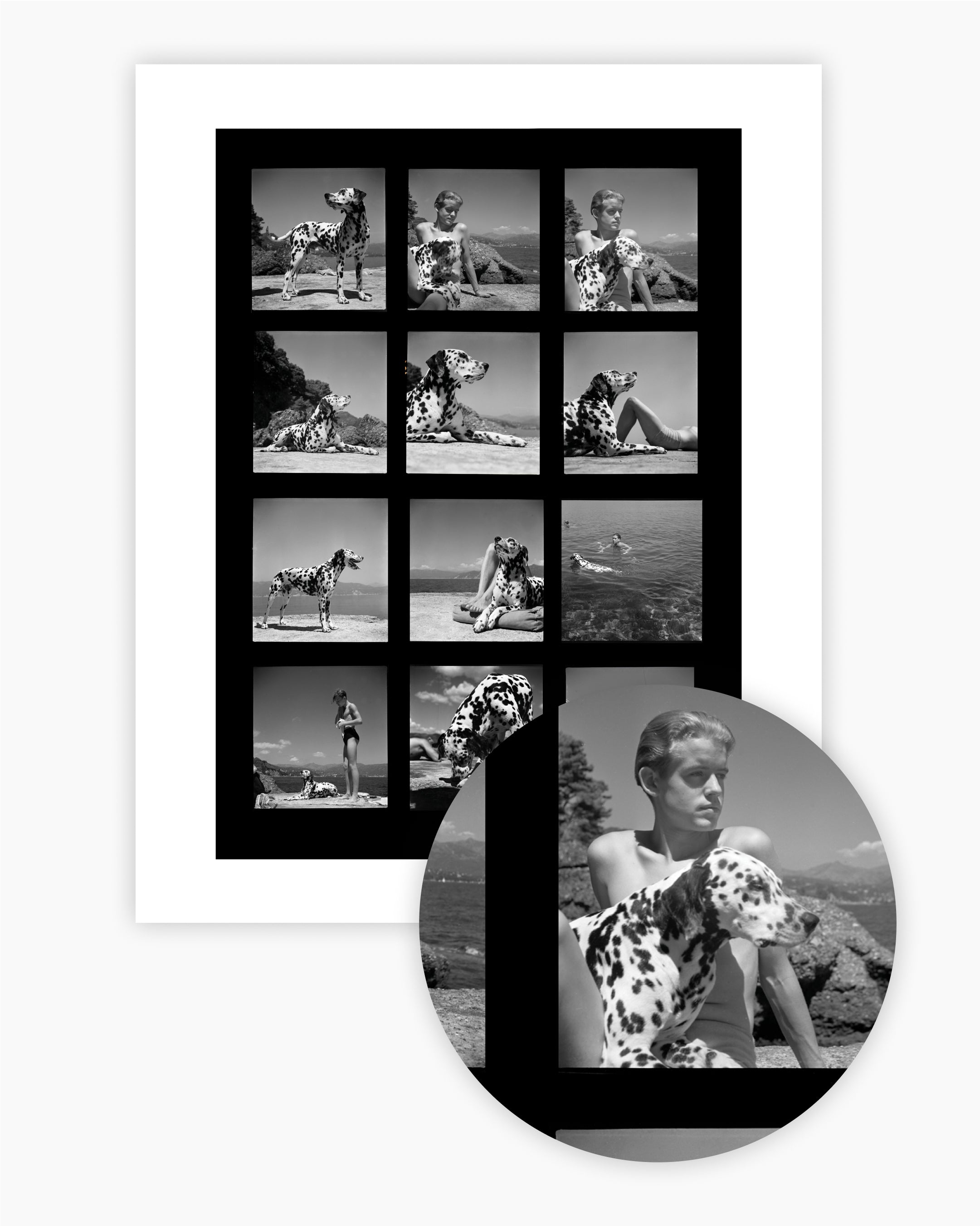 Contact Sheet Print: Dog in Italy