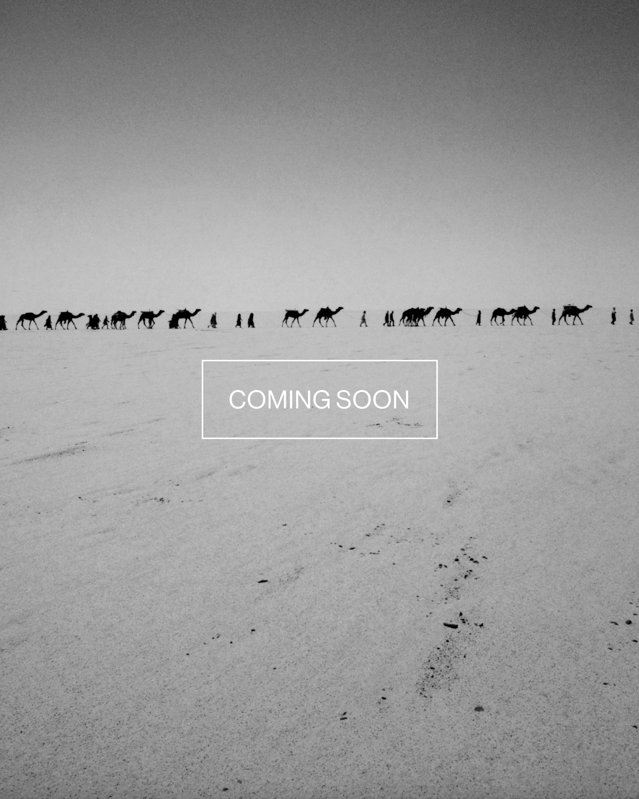 Magnum Square Print: Raymond Depardon