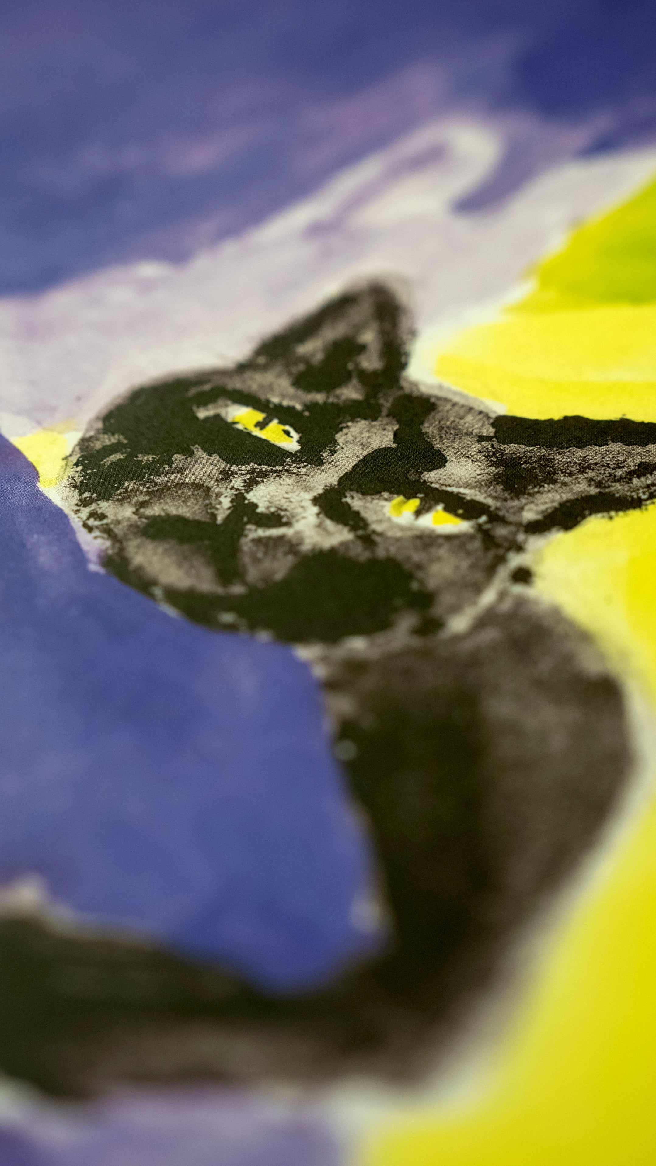 Signature Drop #003: Sohrab Hura