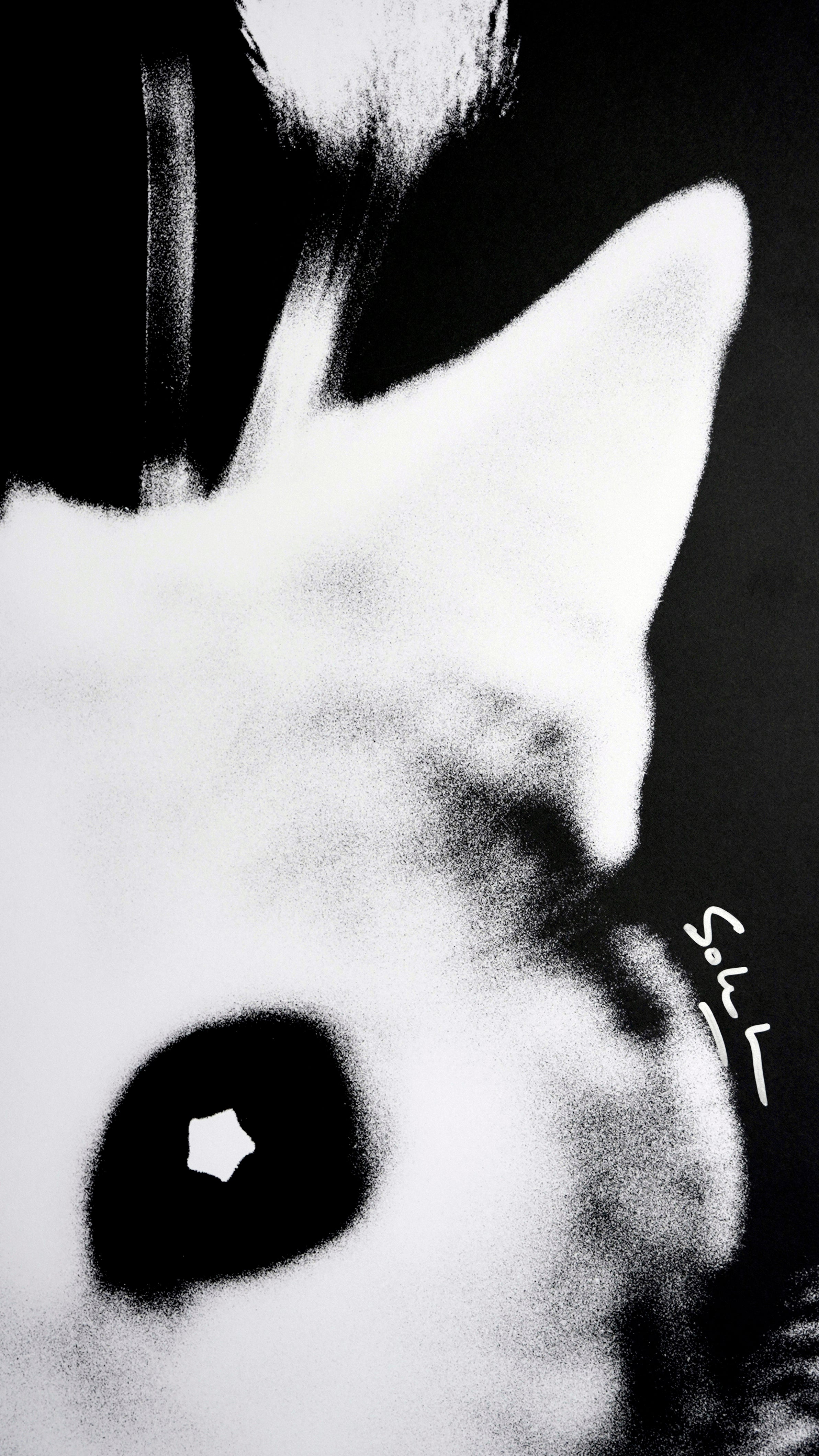 Signature Drop #003: Sohrab Hura