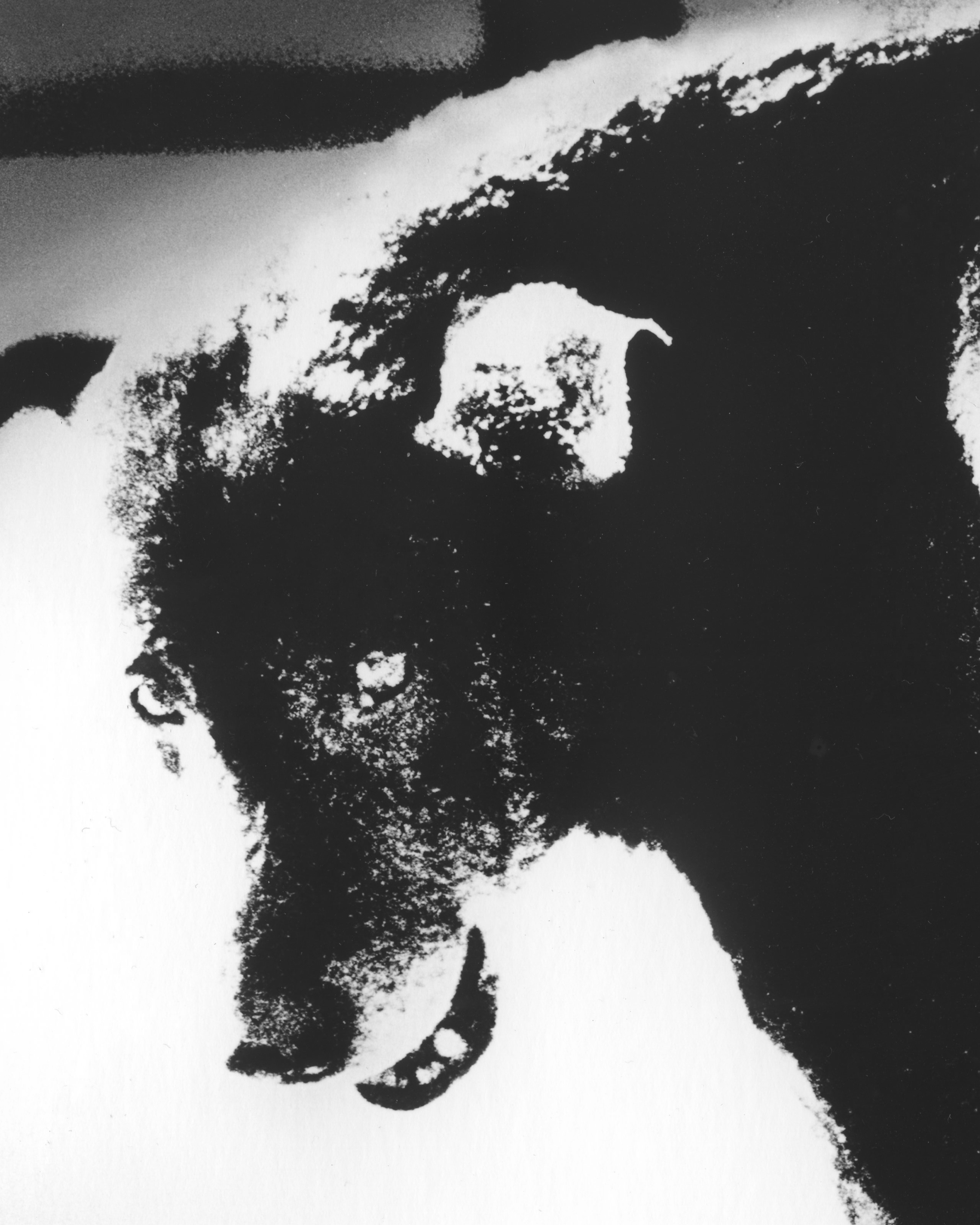 Magnum Square Print: Daidō Moriyama