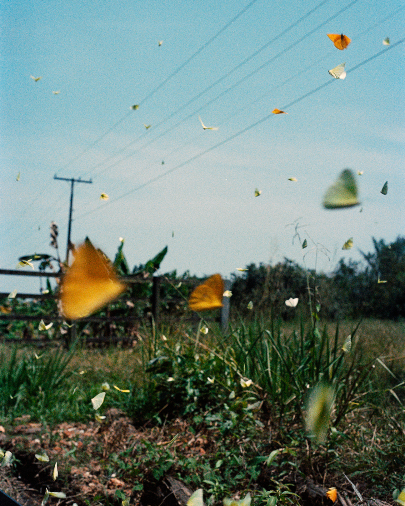Magnum Square Print: Daniel Jack Lyons