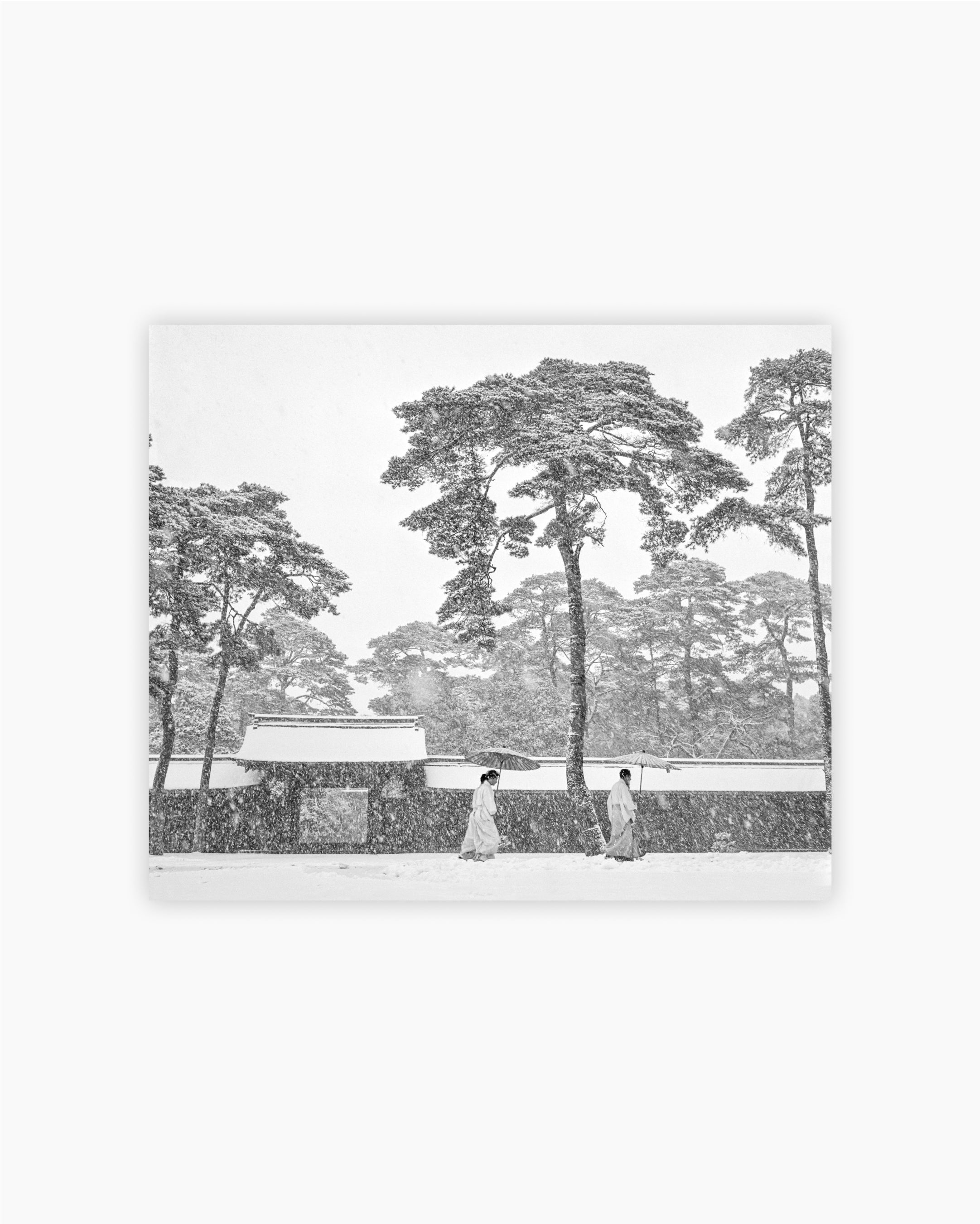 Courtyard of the Meiji shrine. Tokyo, Japan, 1951