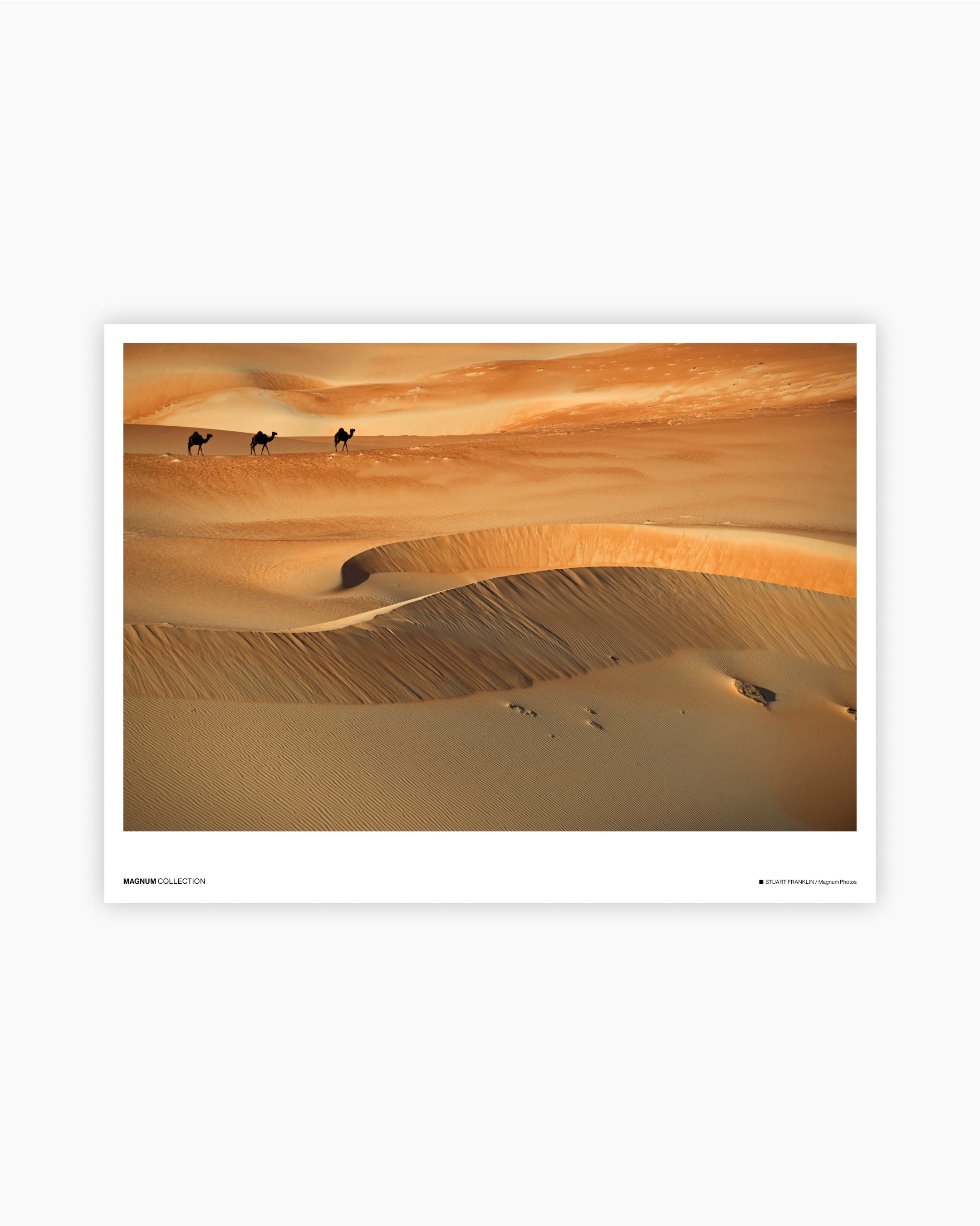 Magnum Poster: Liwa, United Arab Emirates, 2008