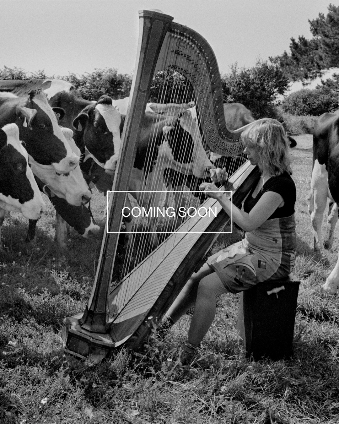 Magnum Square Print: Guy Le Querrec