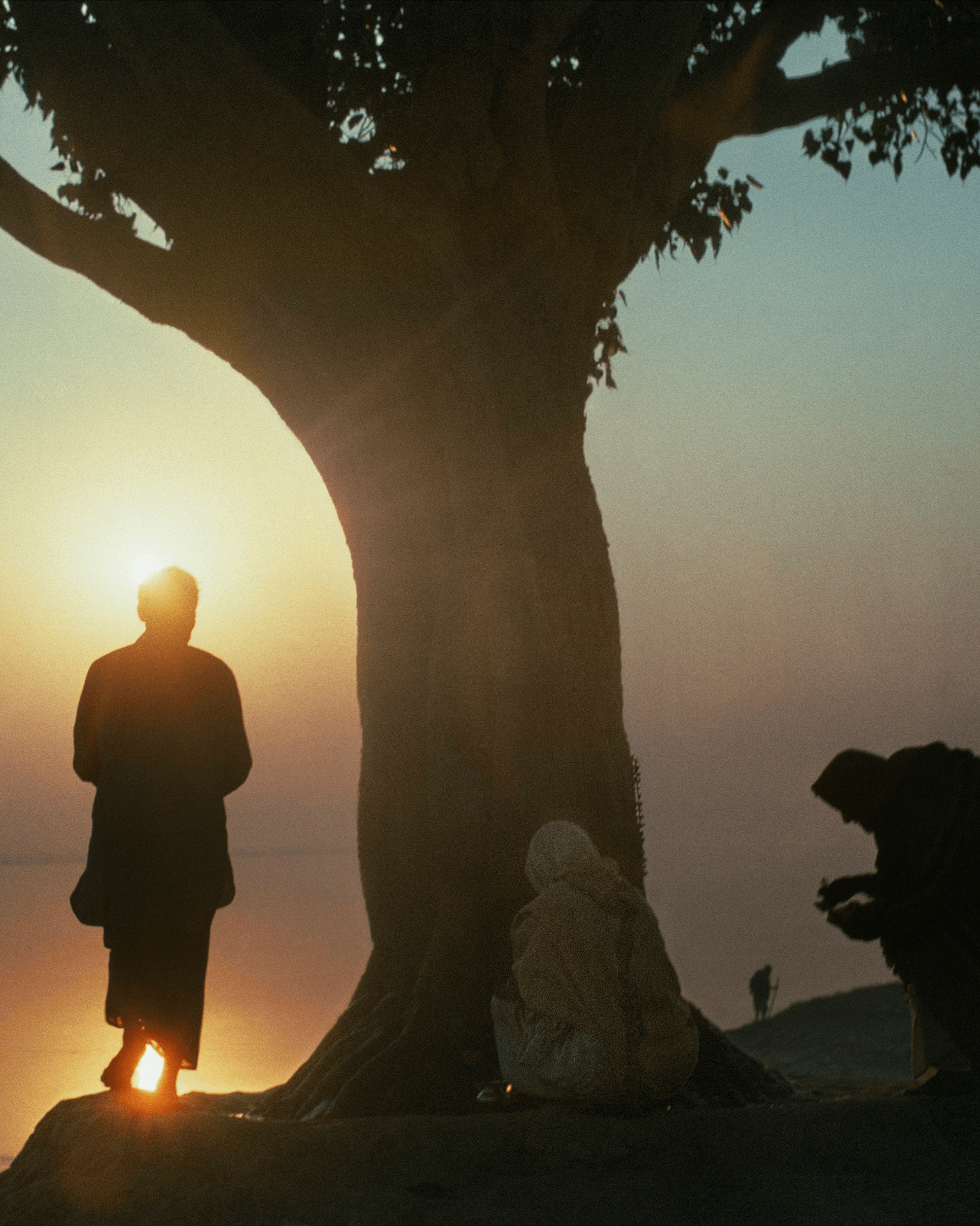 Magnum Square Print: Harry Gruyaert