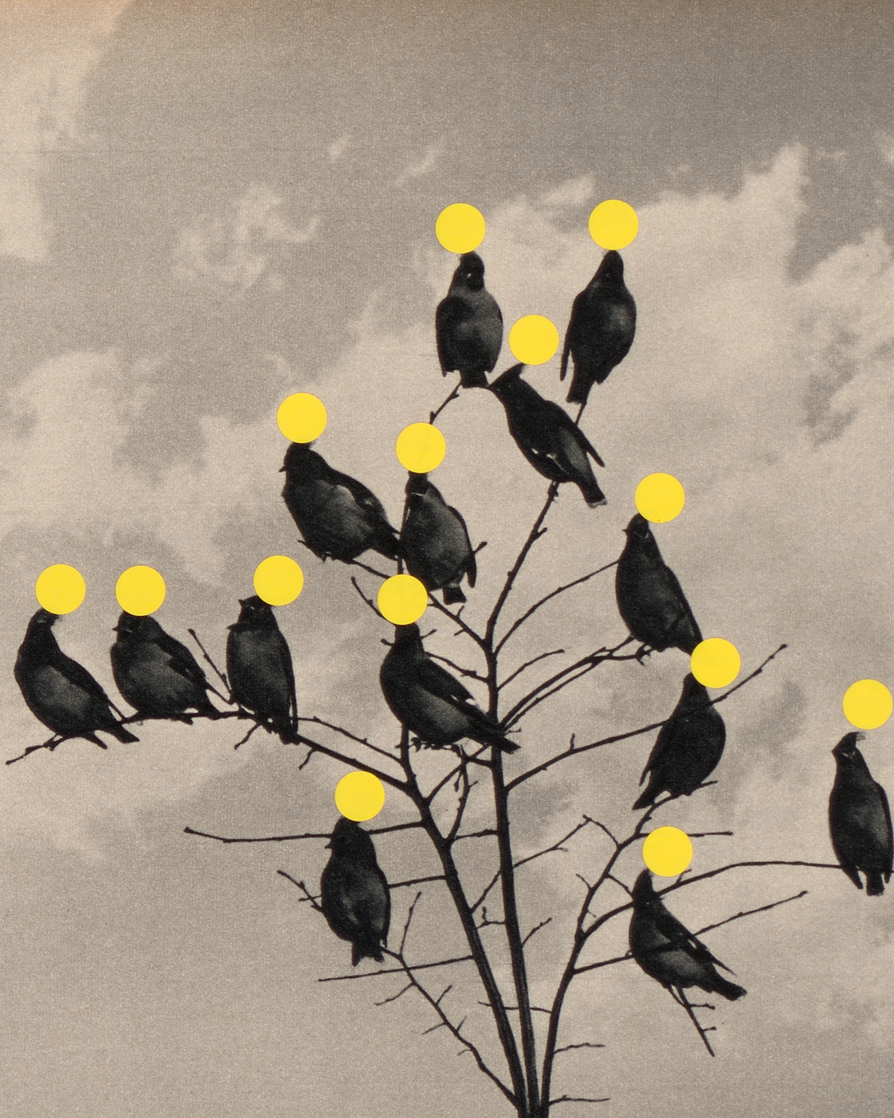 Magnum Square Print: Aikaterini Gegisian