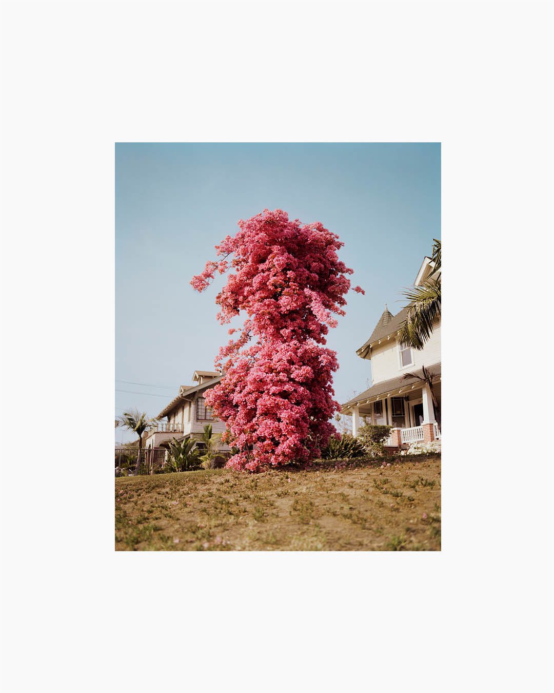 Fine Print: California, USA, 2016