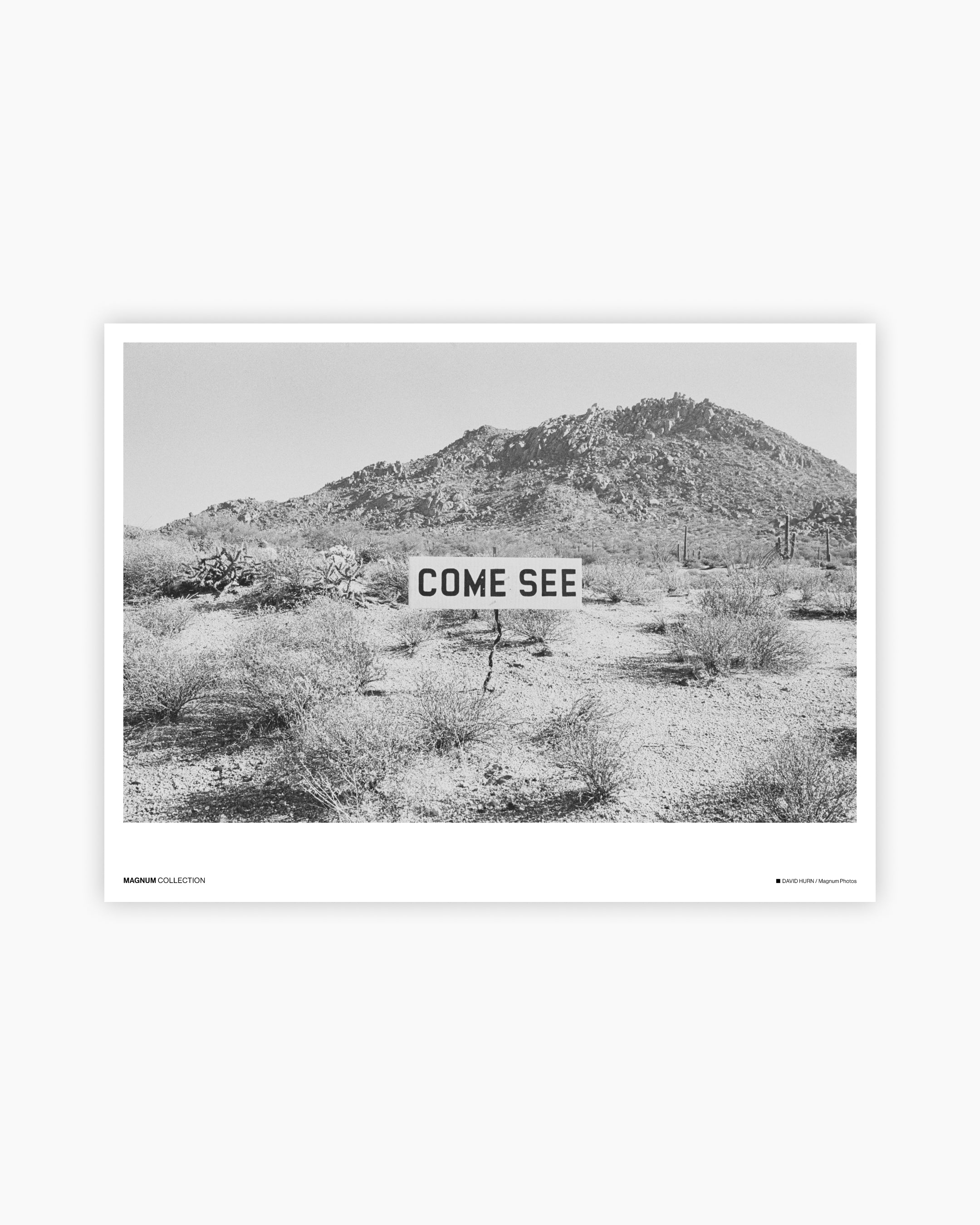 Magnum Poster: Arizona, USA, 1979