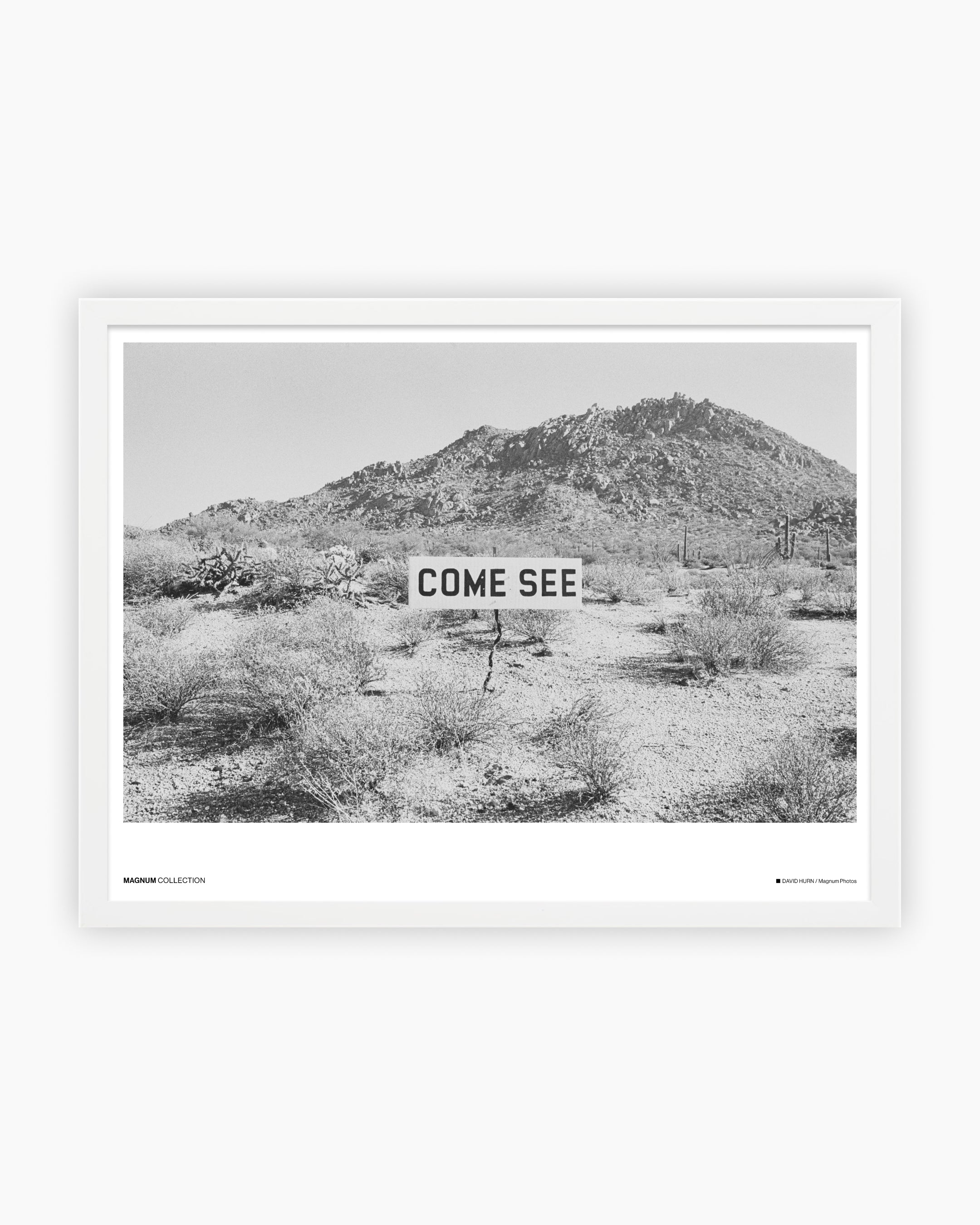 Magnum Poster: Arizona, USA, 1979