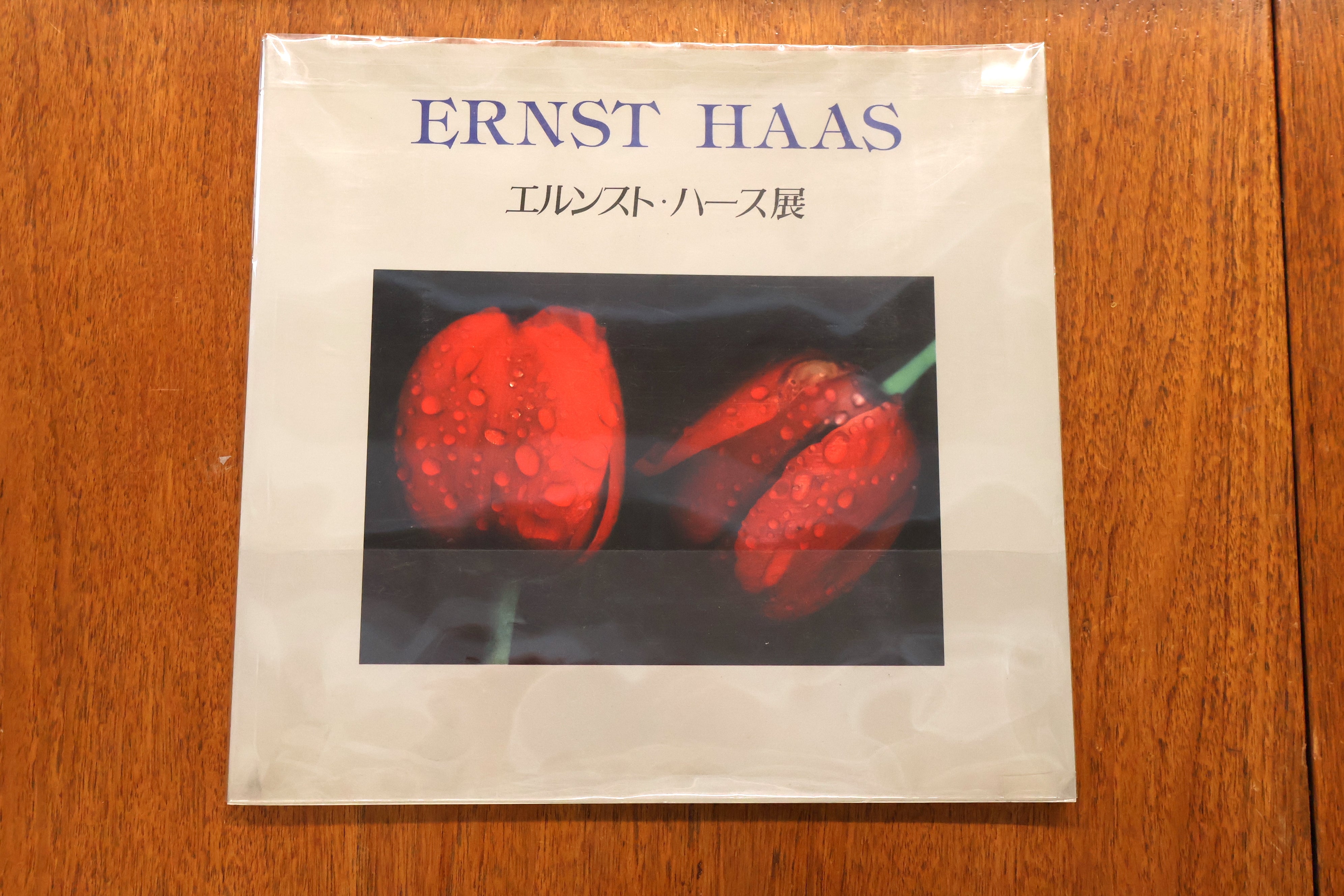 Ernst Haas Exhibition