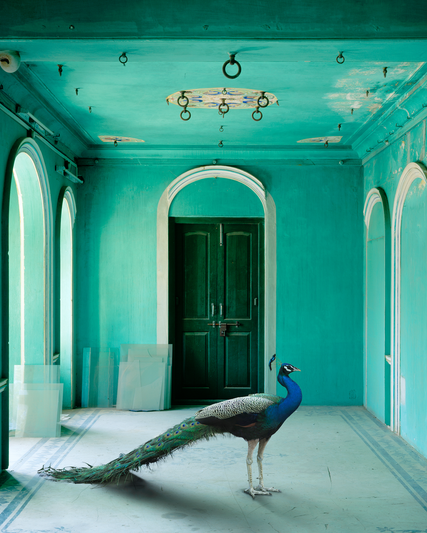 Magnum Square Print: Karen Knorr