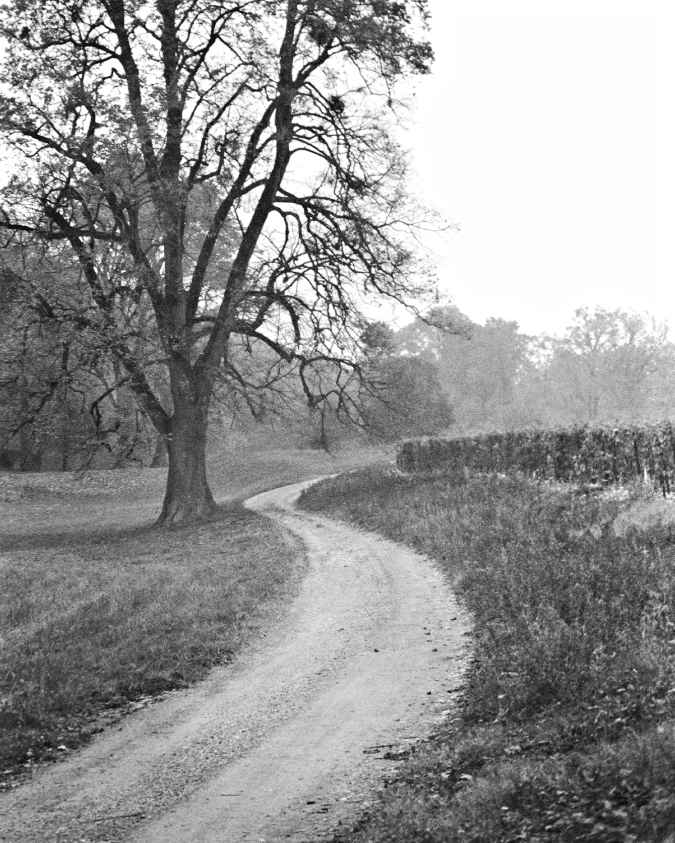 Magnum Square Print: Elliott Landy