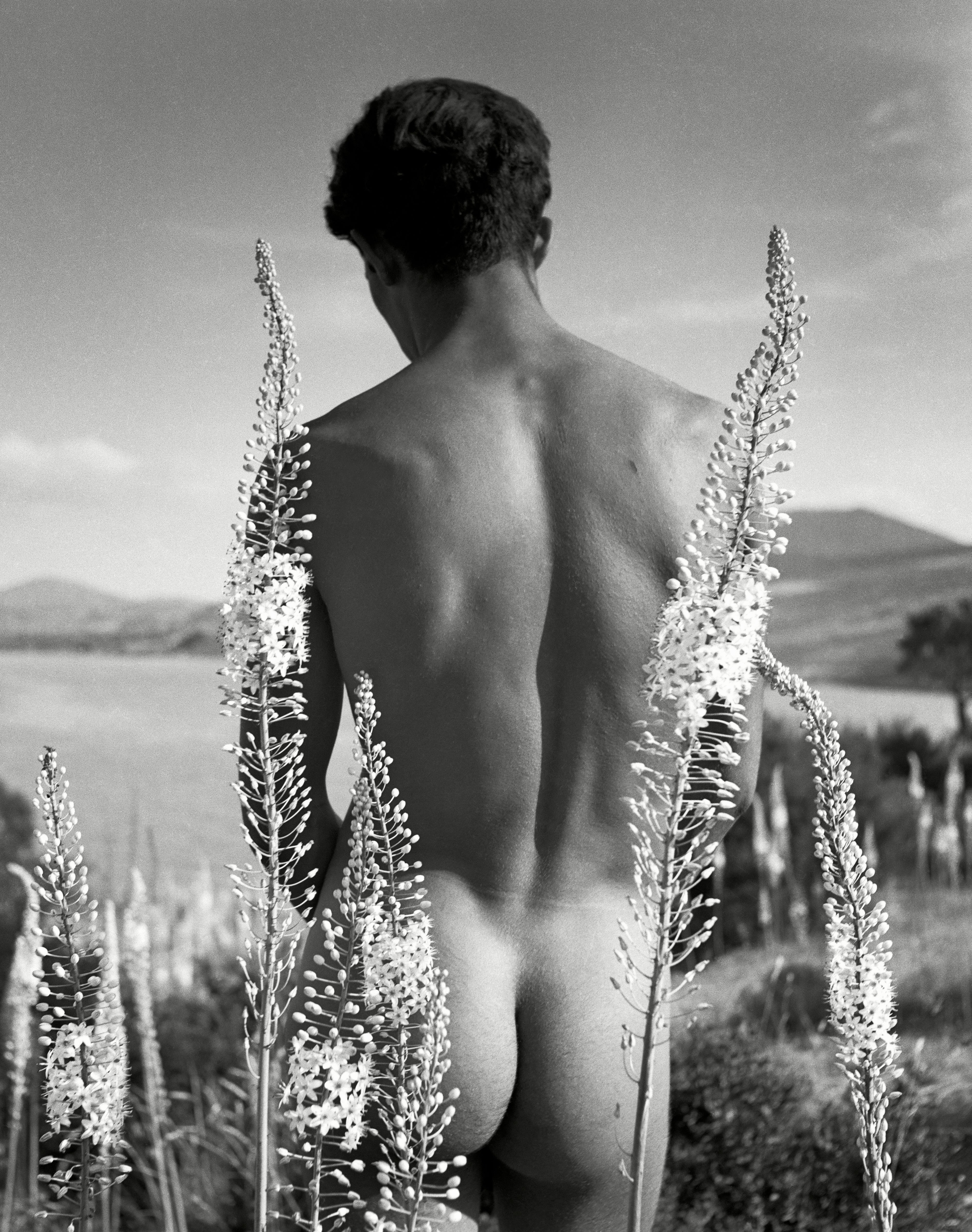 Boy with Eremurus. Hammamet, Tunisia, 1935