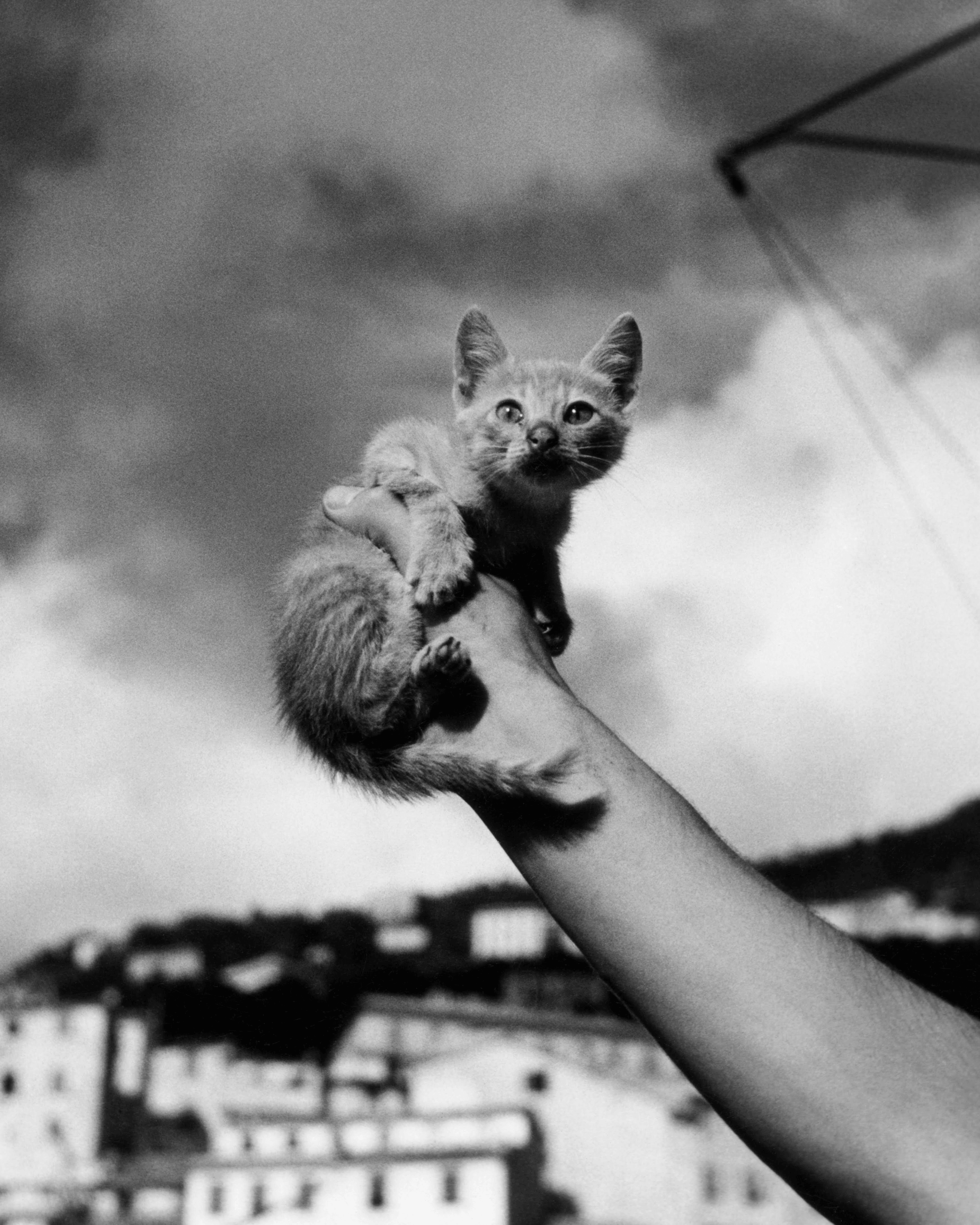 Magnum Square Print: Herbert List