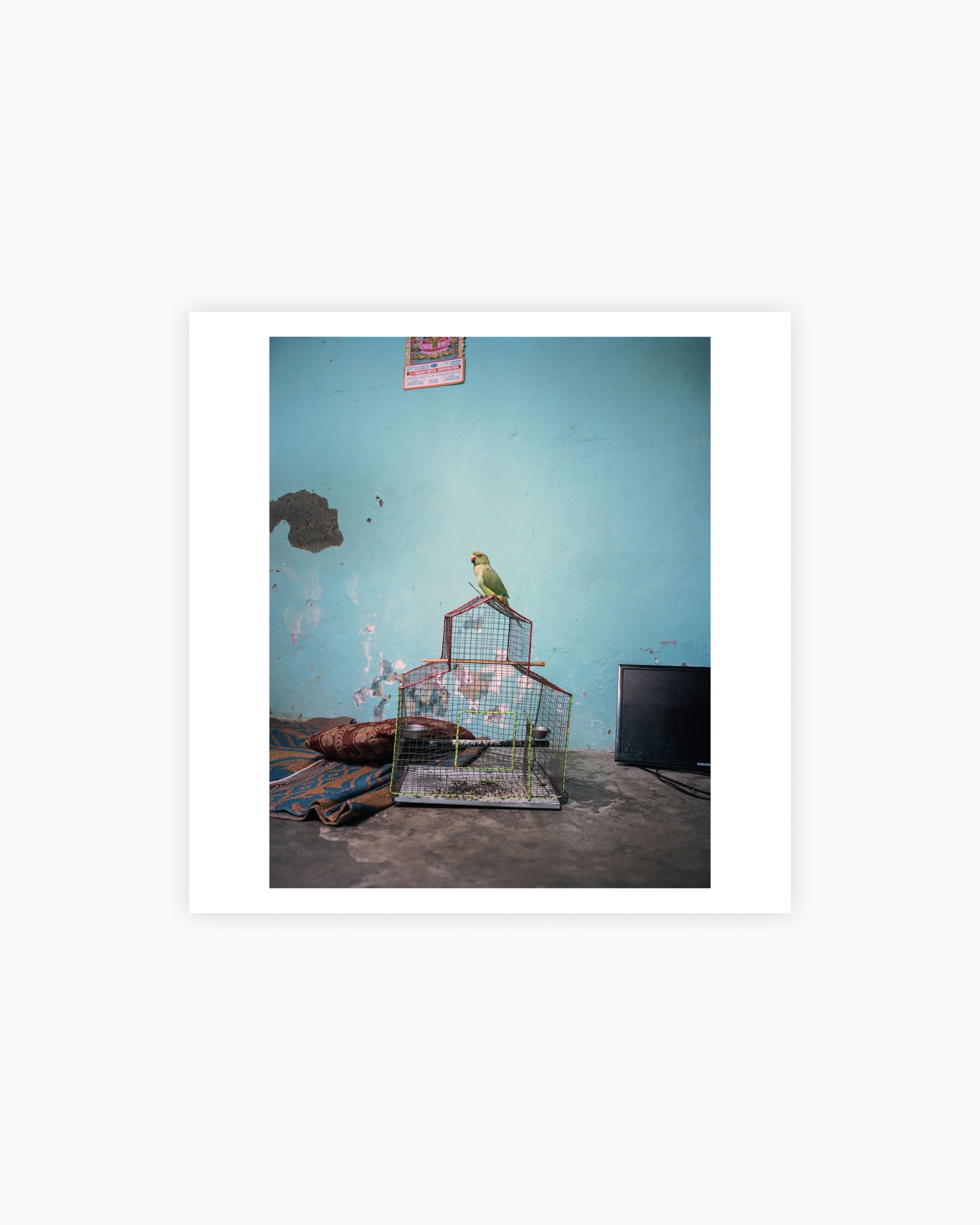 Magnum Square Print: Kalpesh Lathigra