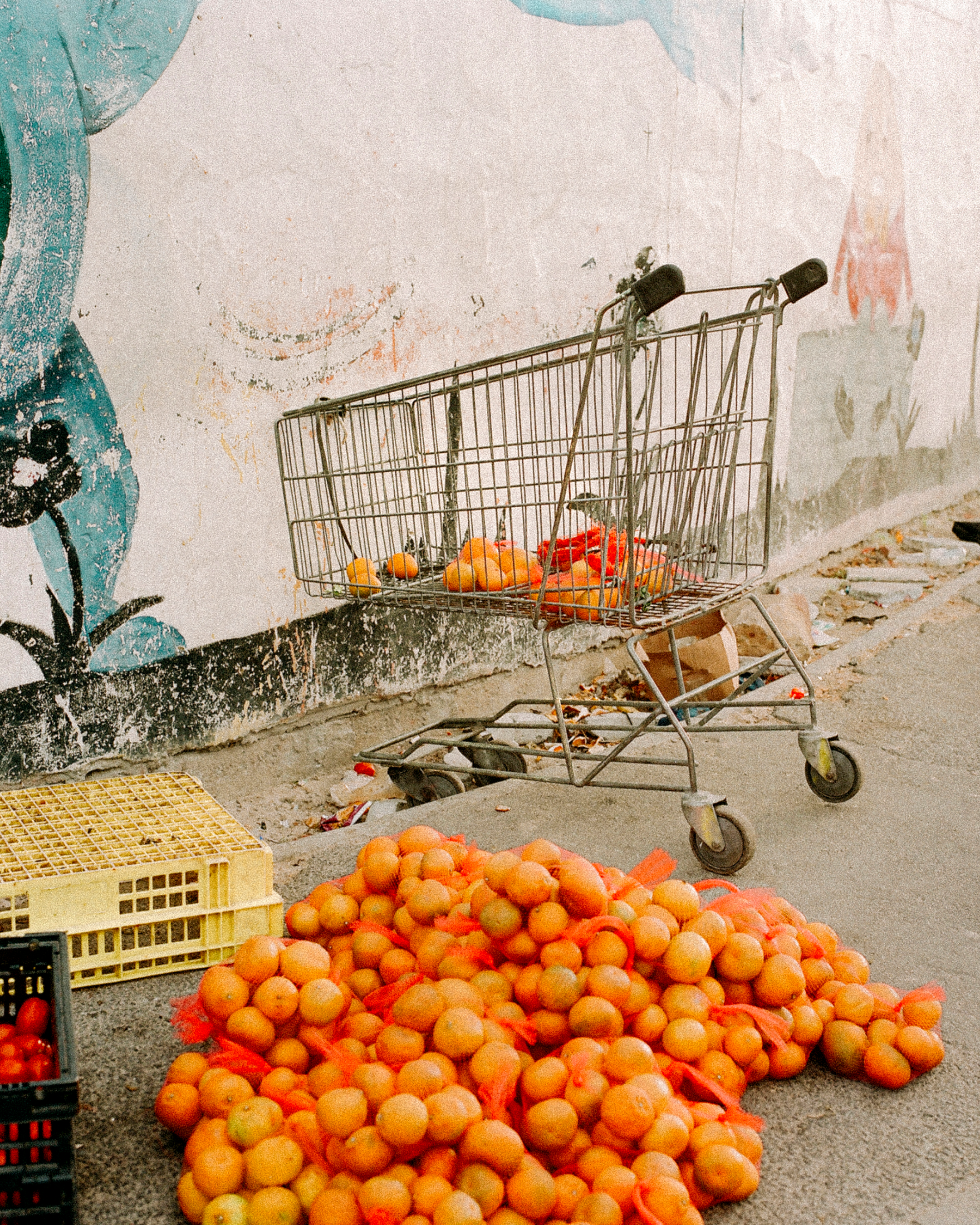 Magnum Square Print: Laura Pannack