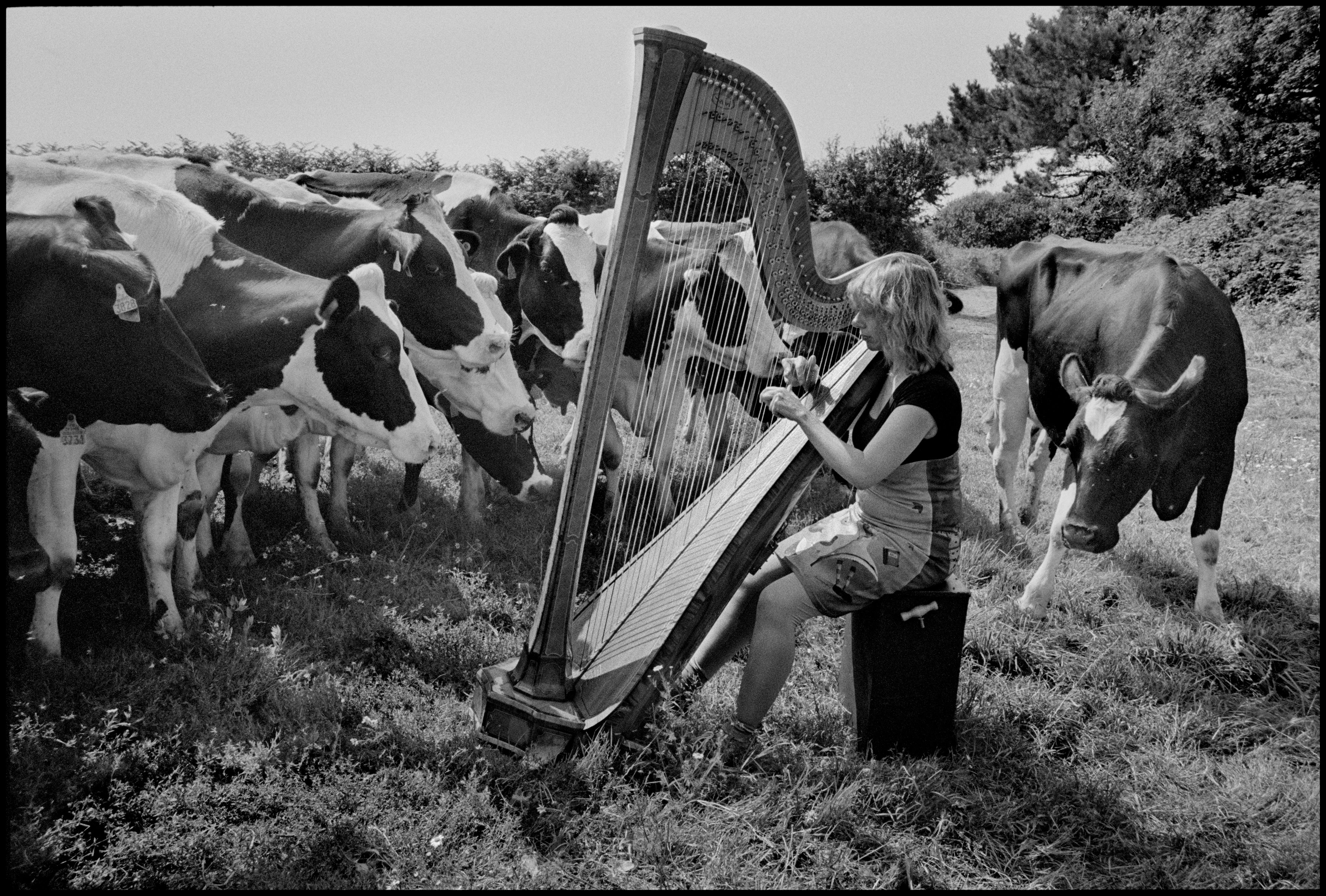 Magnum Square Print: Guy Le Querrec
