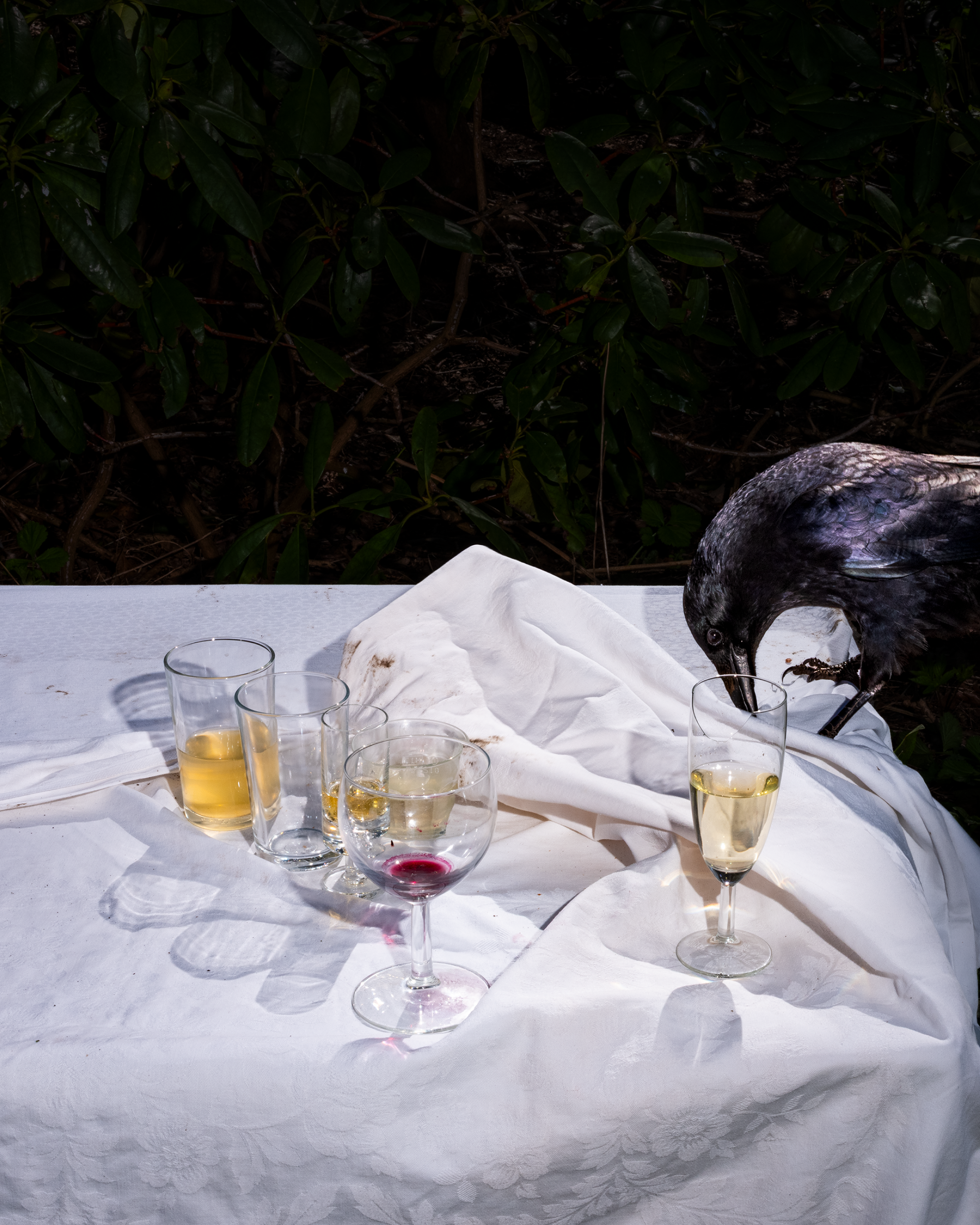 Magnum Square Print: Lia Darjes