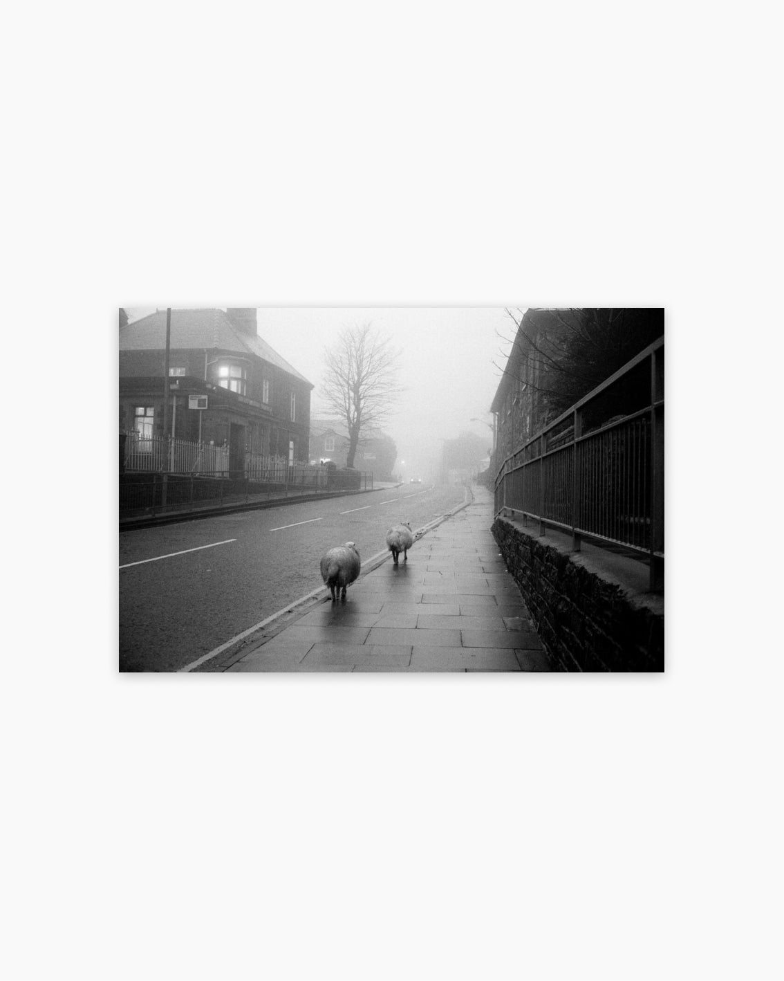 Fine Print:  Blaennau Ffestiniog, Wales, UK, 1986