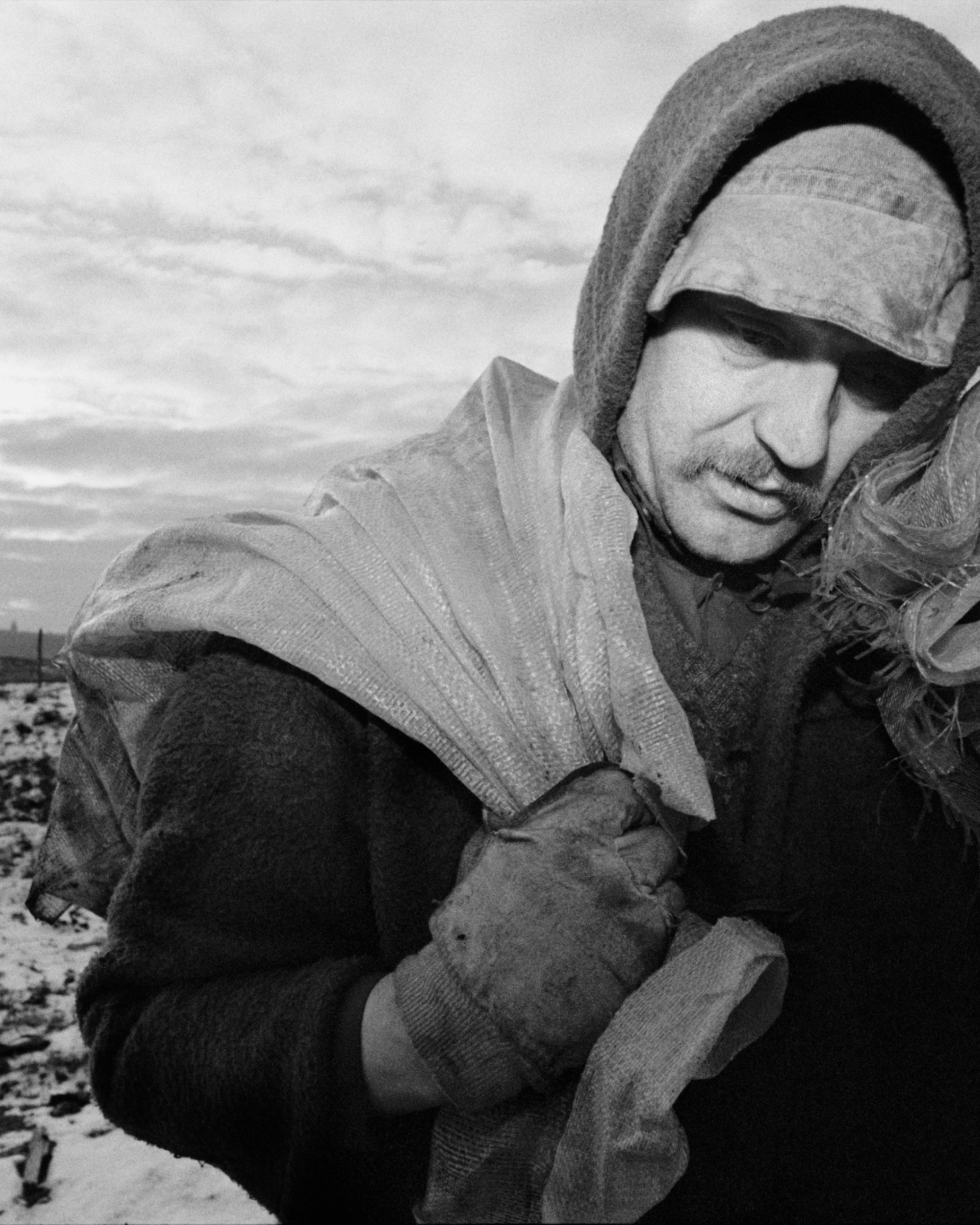 Magnum Square Print: Peter Marlow