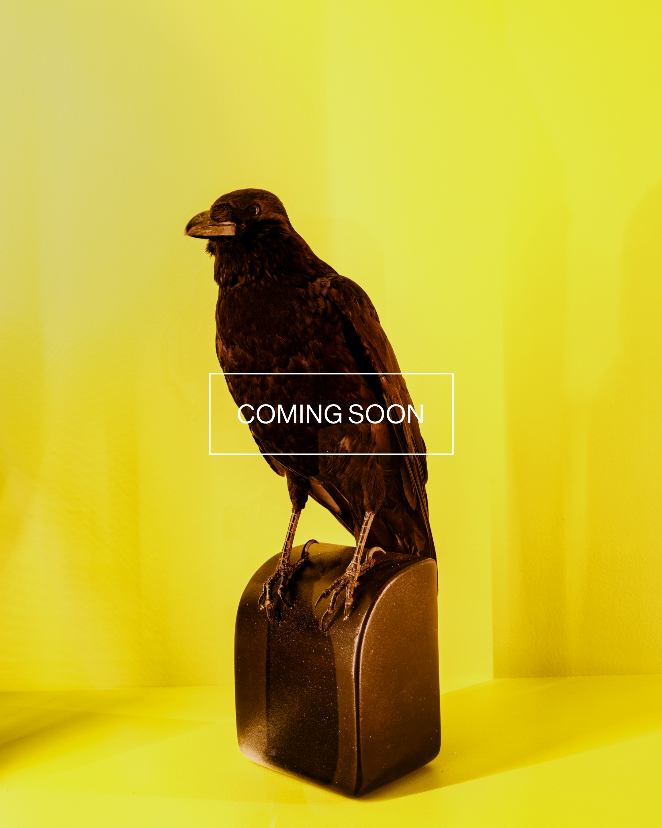 Magnum Square Print: Lorenzo Meloni