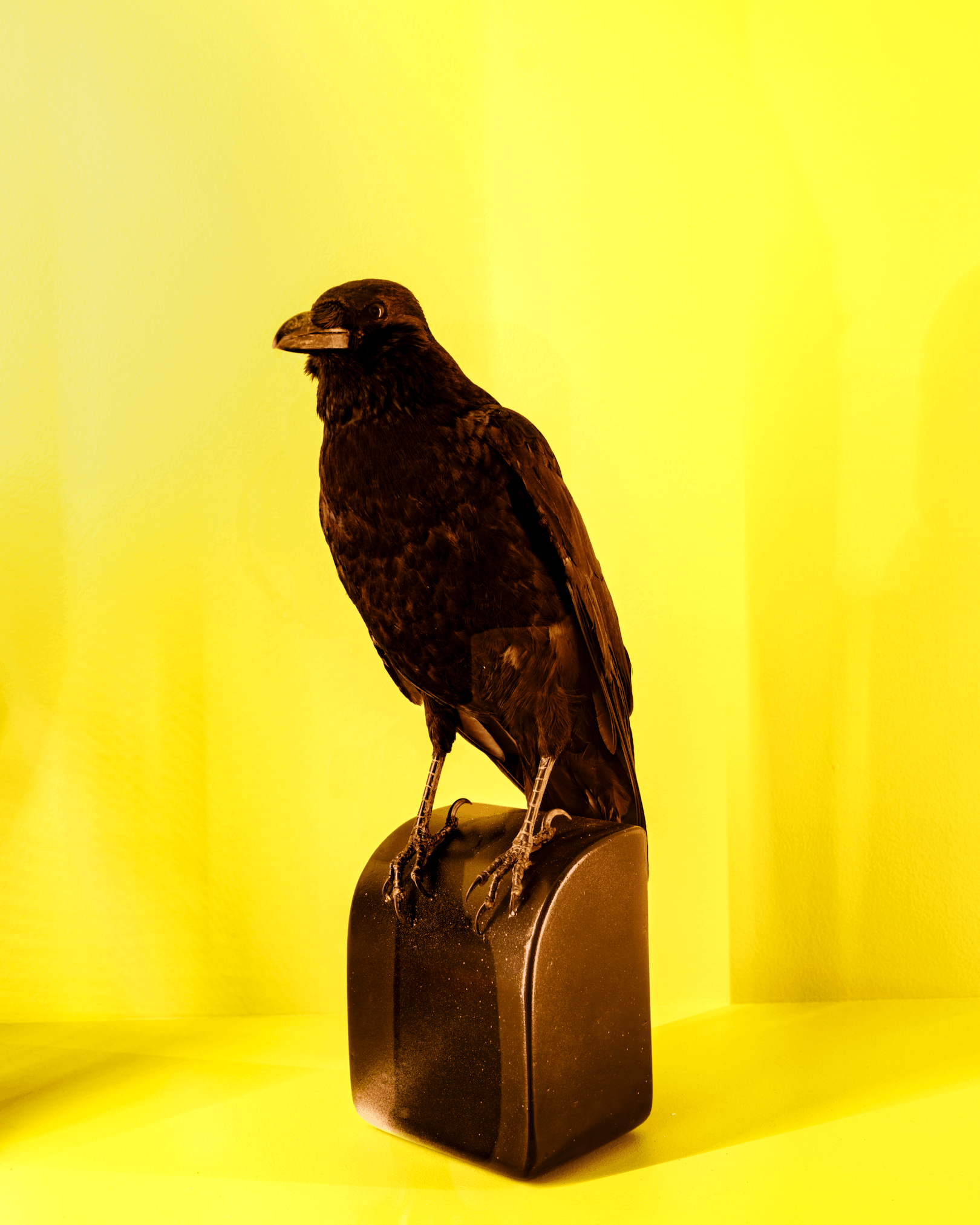 Magnum Square Print: Lorenzo Meloni