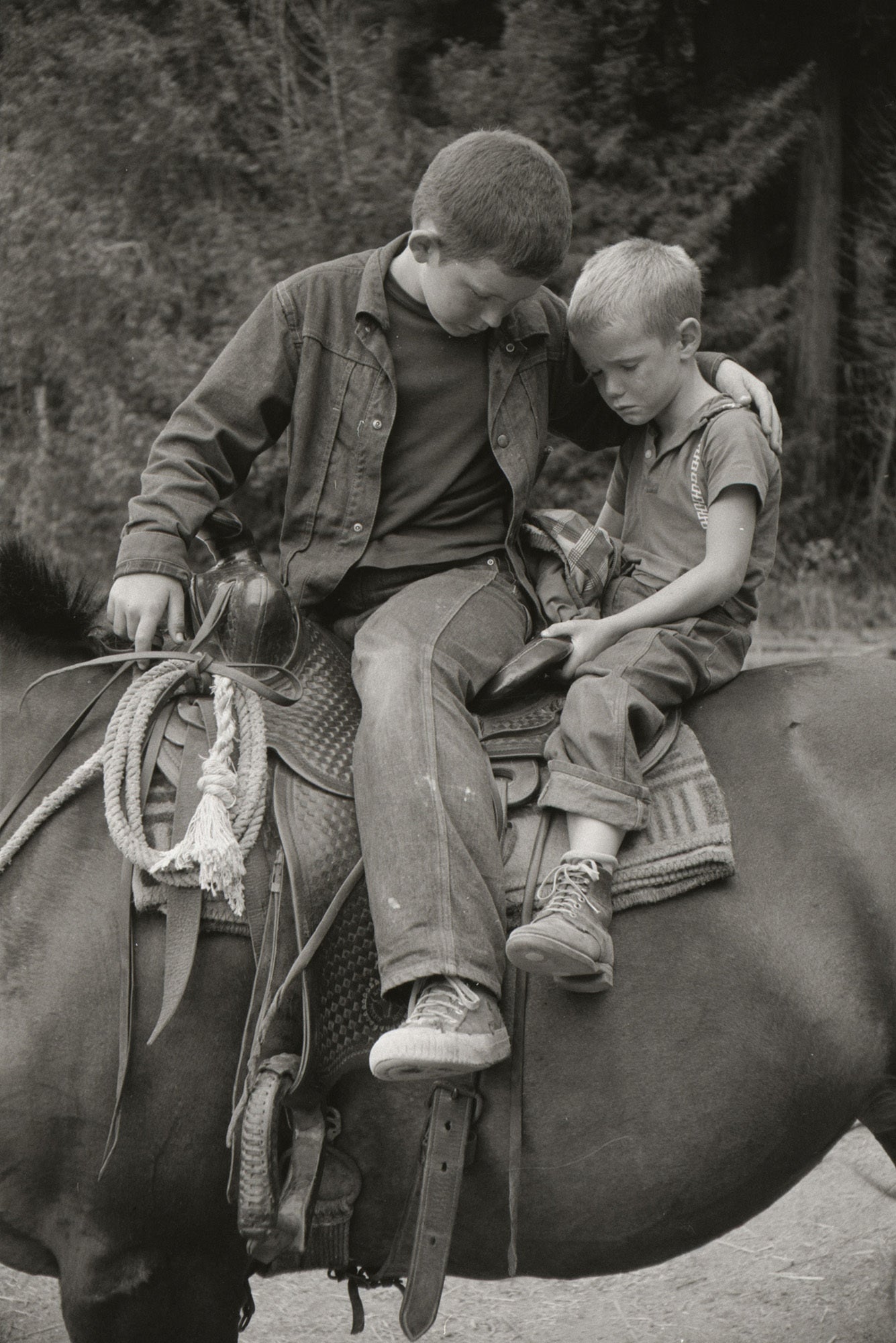 Magnum Square Print: Wayne Miller