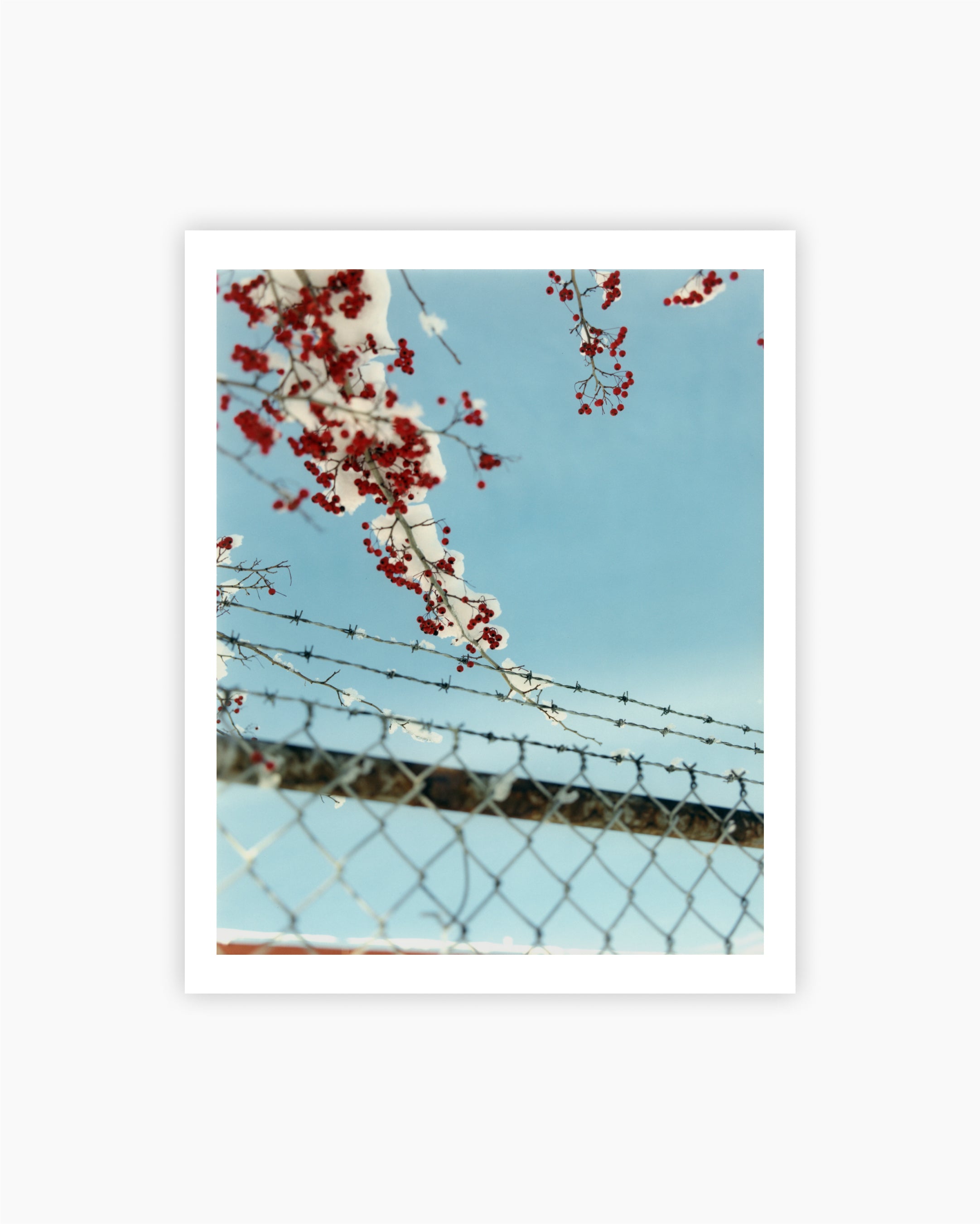 Gregory Halpern · Buffalo, New York, USA · 2015. Contemporary art, photography or visual culture featured by Acquistare Arte.