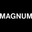 logo of Magnum Photos Store