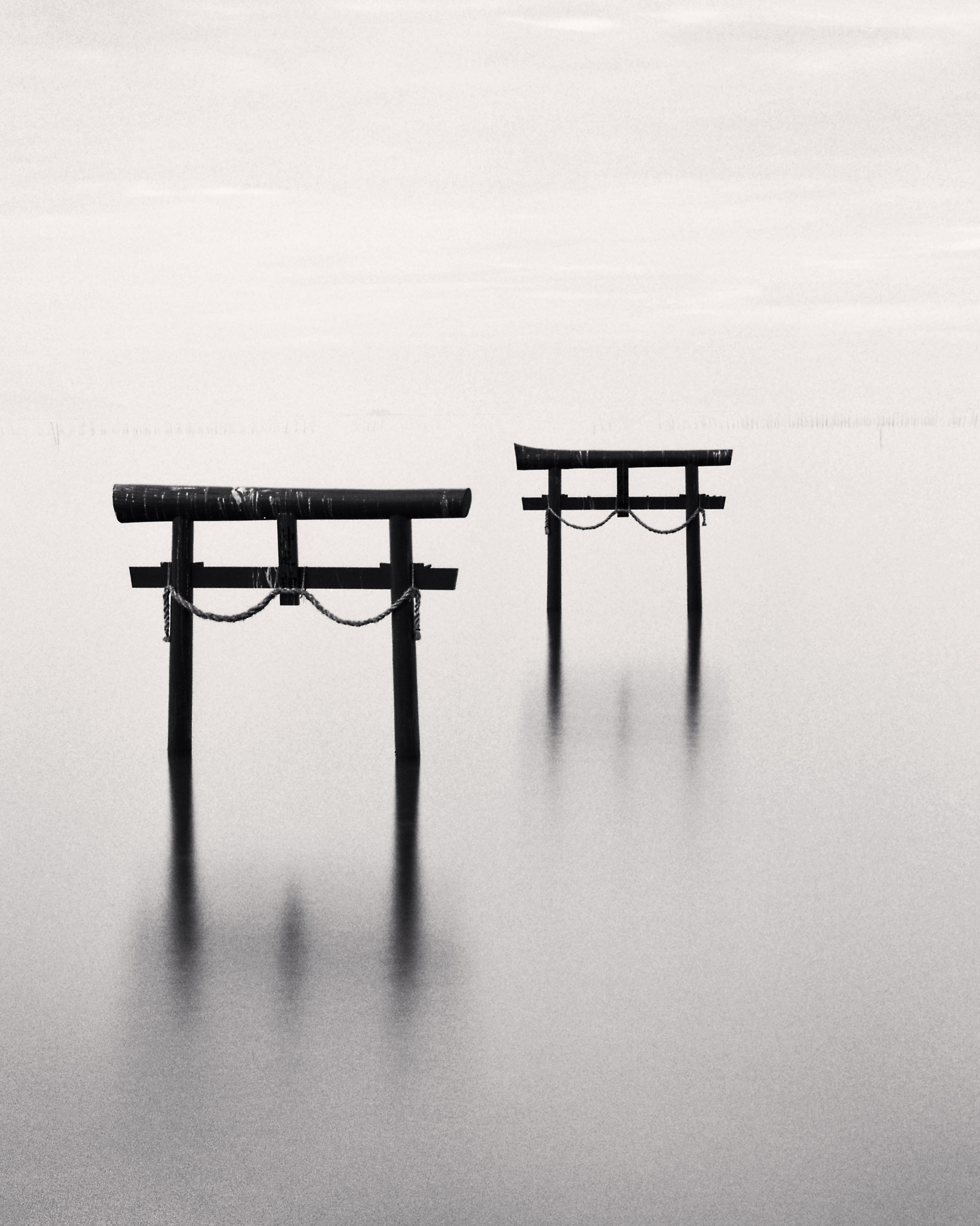 Magnum Square Print: Michael Kenna