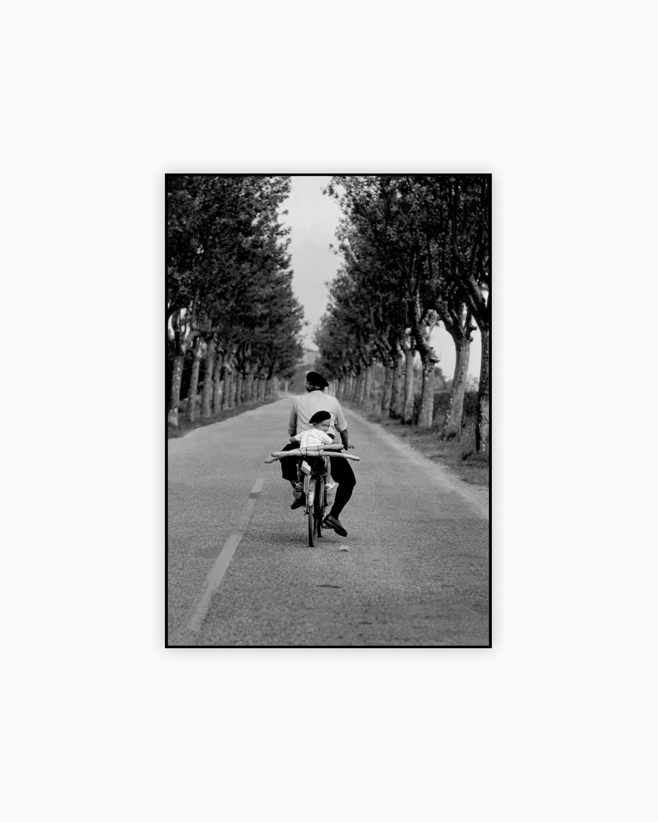 Boy, bicycle and baguette. Provence, France, 1955