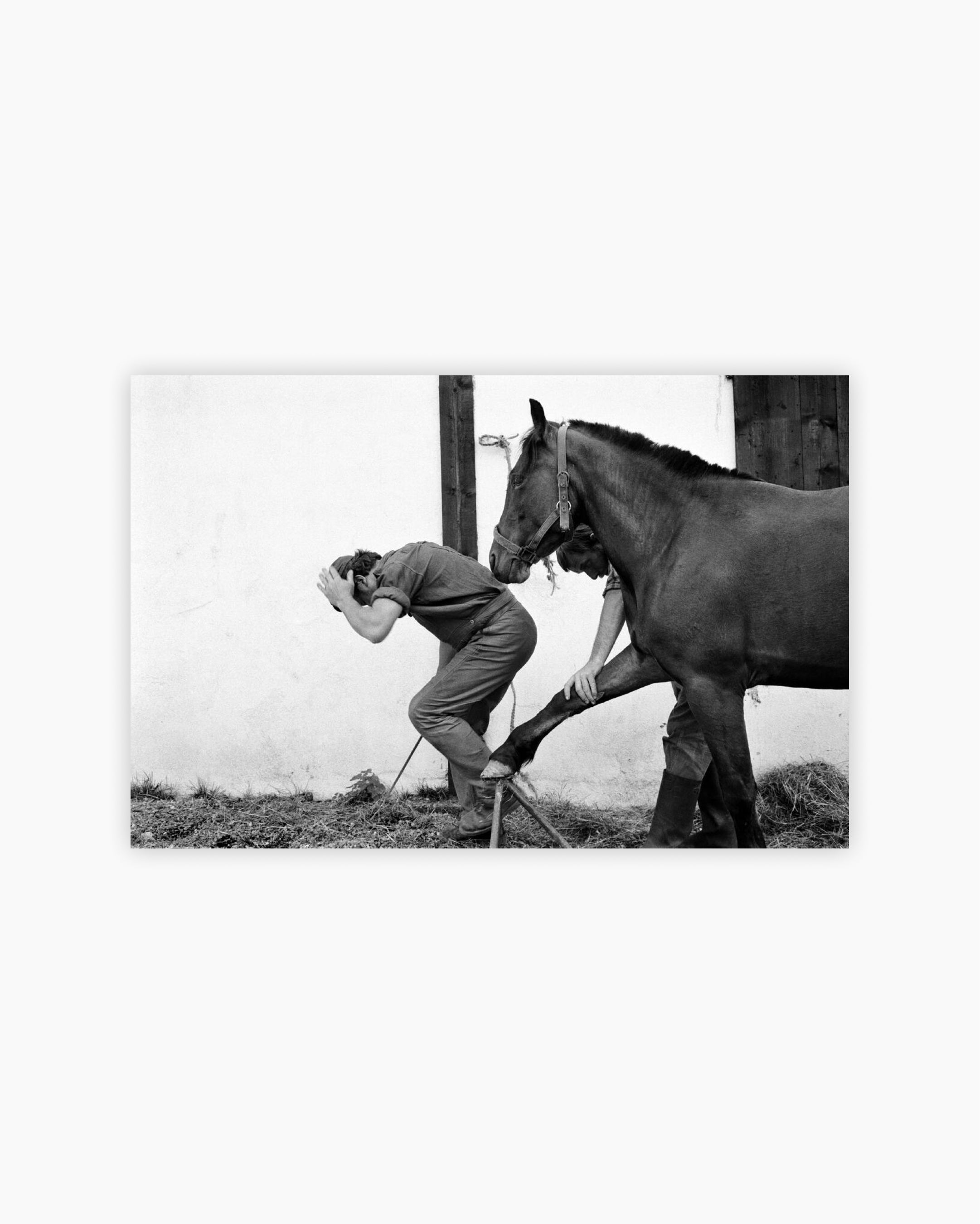 Fine Print: Farrier. Samoëns, Haute-Savoie, France, September, 1978
