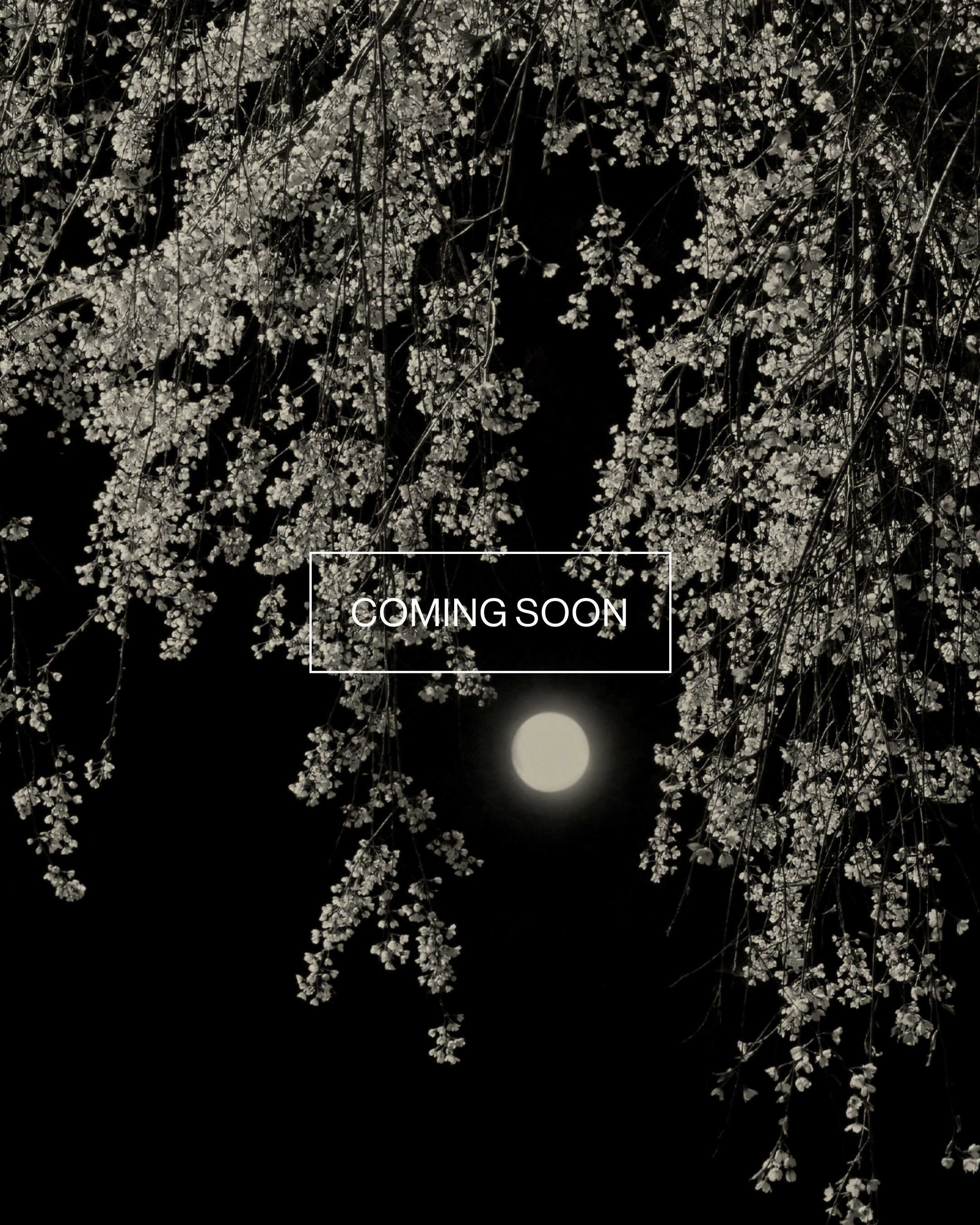 Magnum Square Print: Paul Cupido