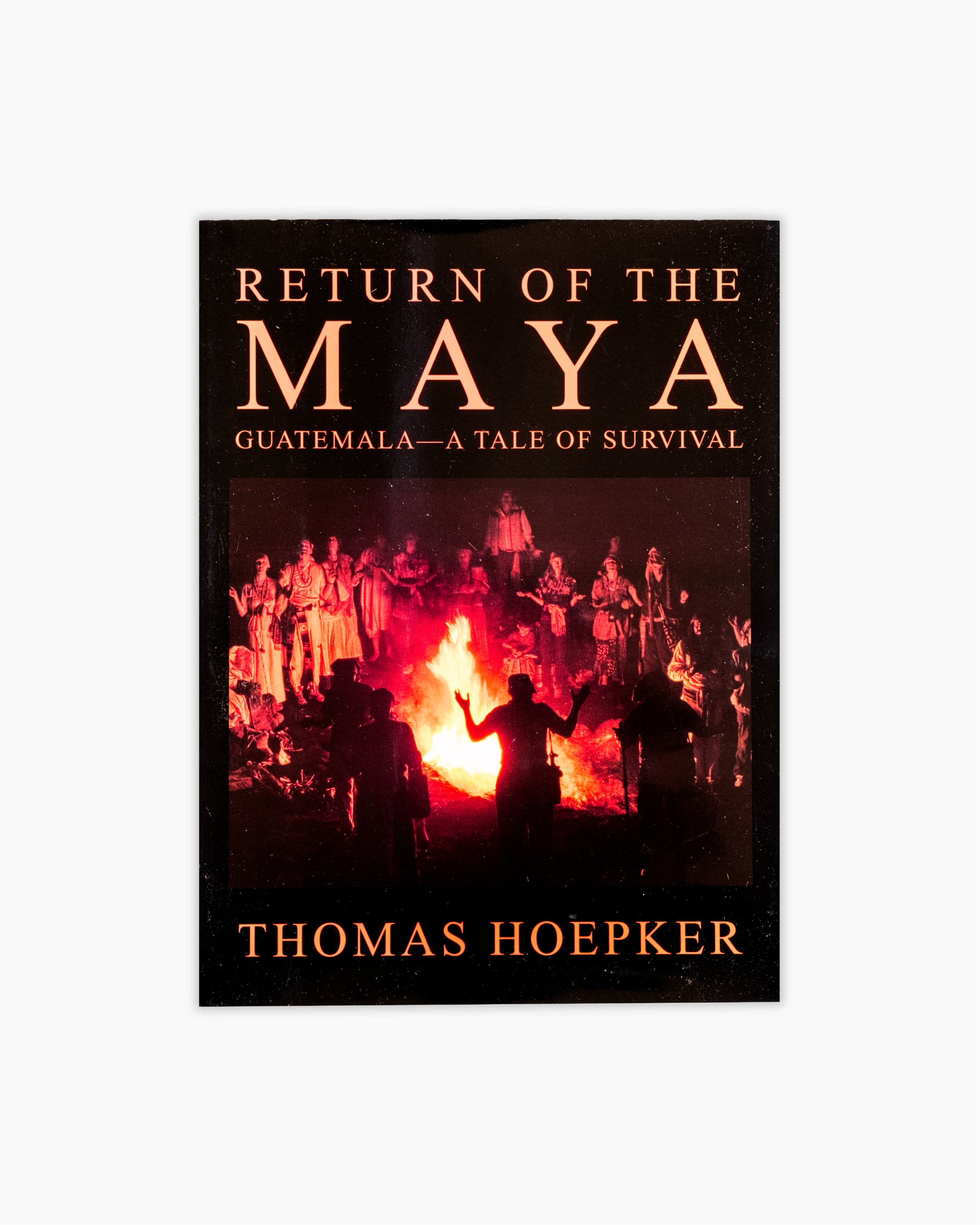 Return of the Maya