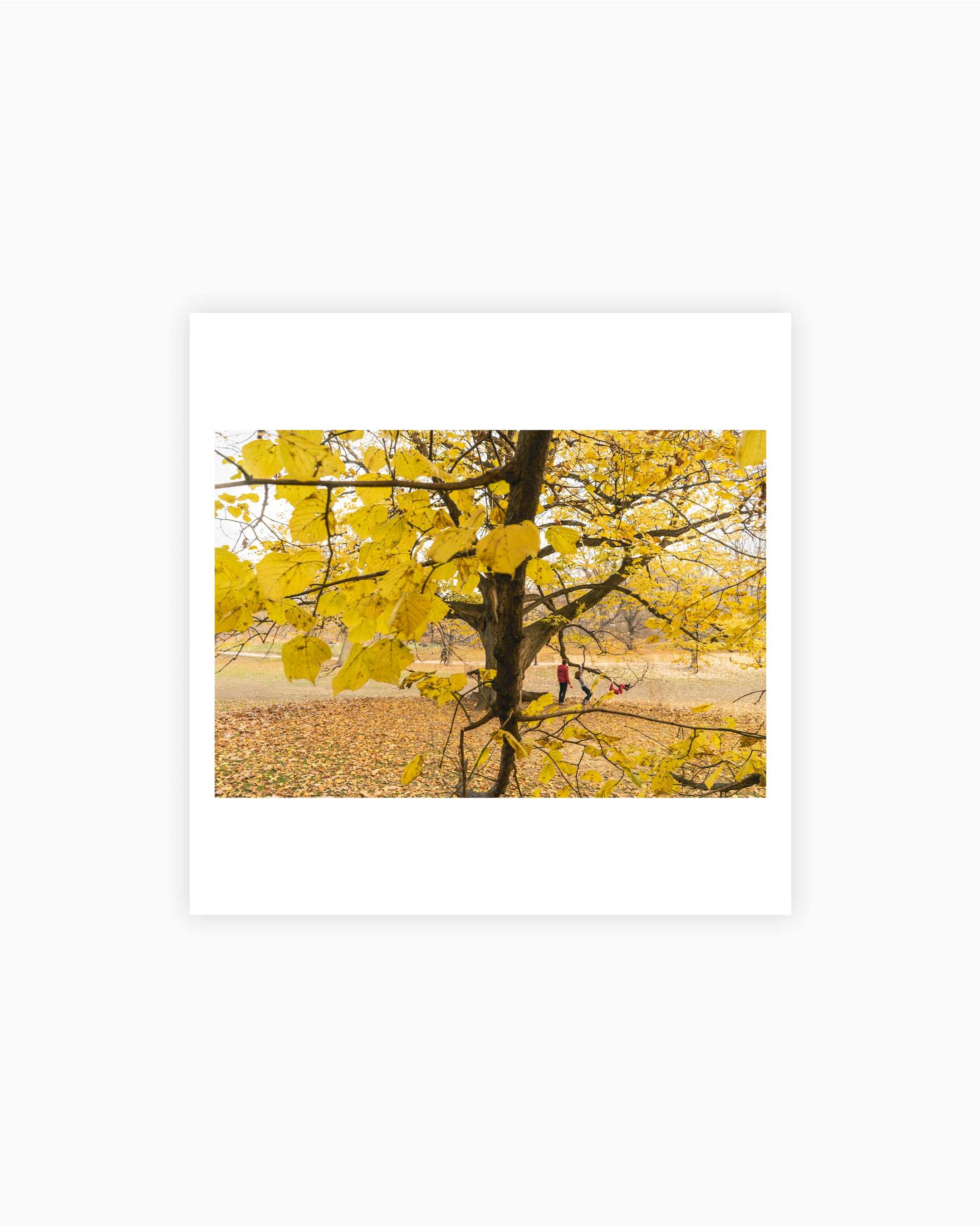 Magnum Square Print: Rebecca Norris Webb