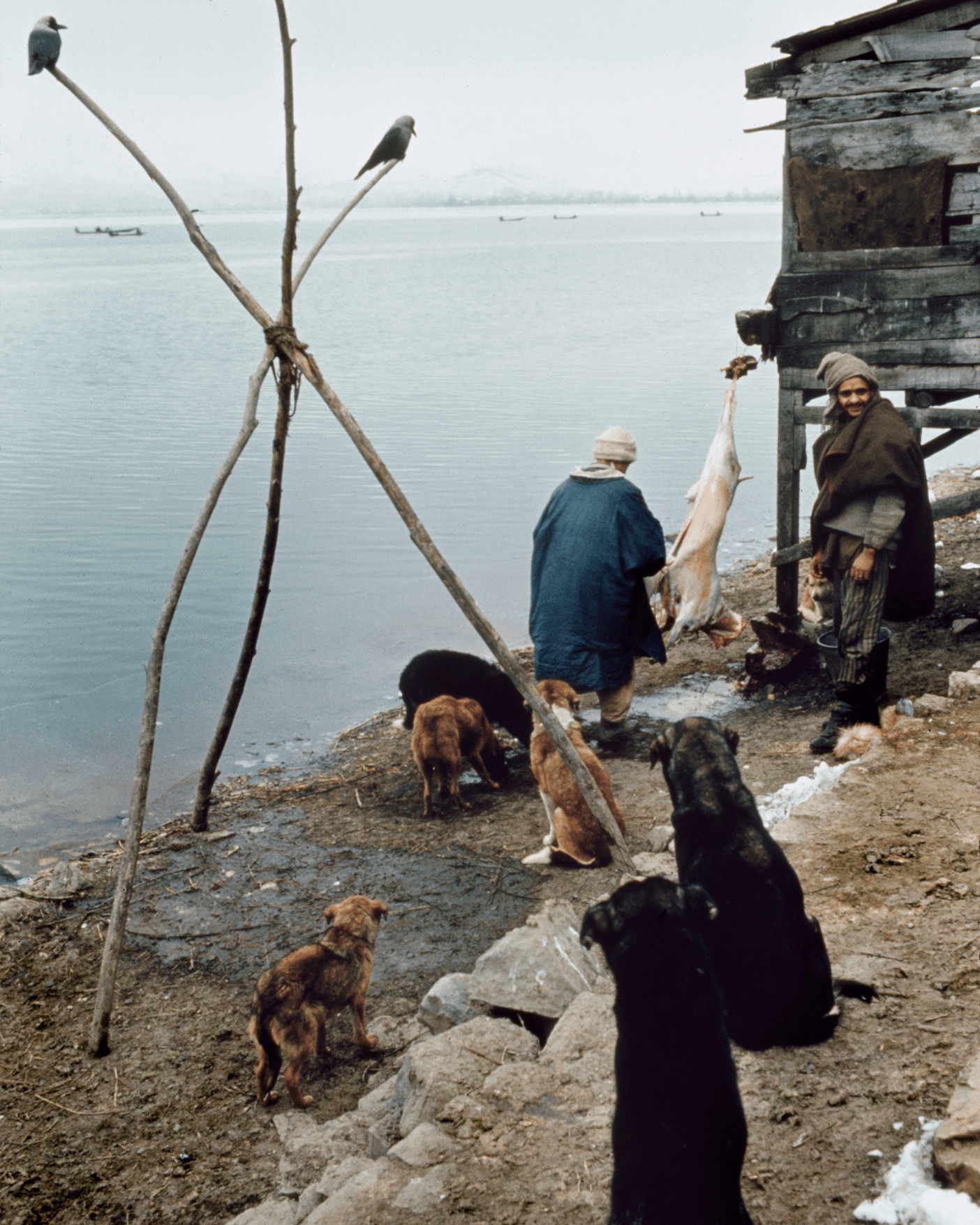 Magnum Square Print: Marilyn Silverstone