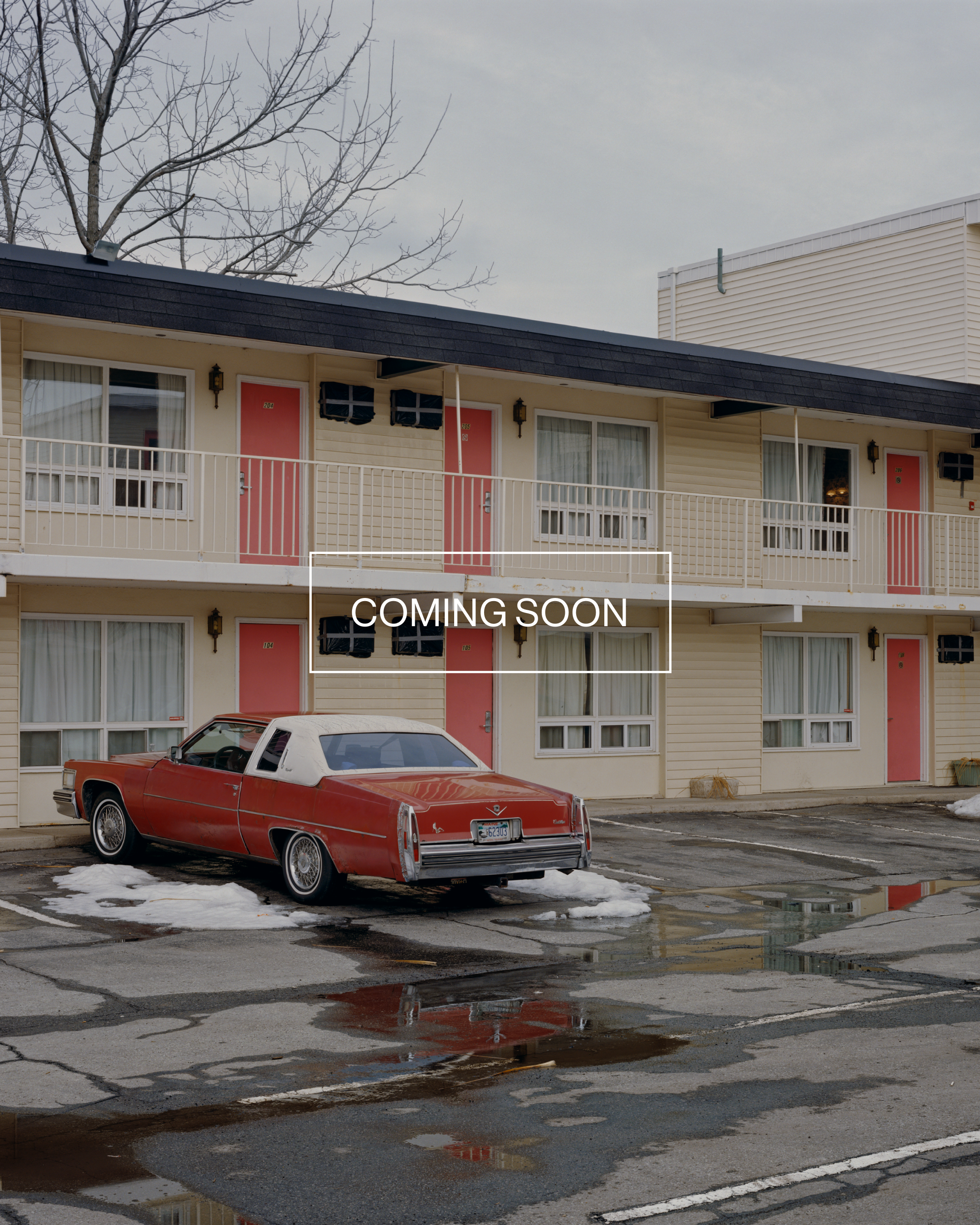 Magnum Square Print: Alec Soth